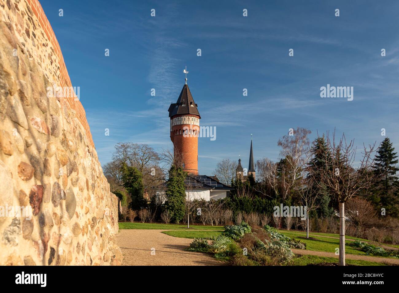 Germania, Sassonia-Anhalt, castello, vigneto con torre d'acqua Foto Stock