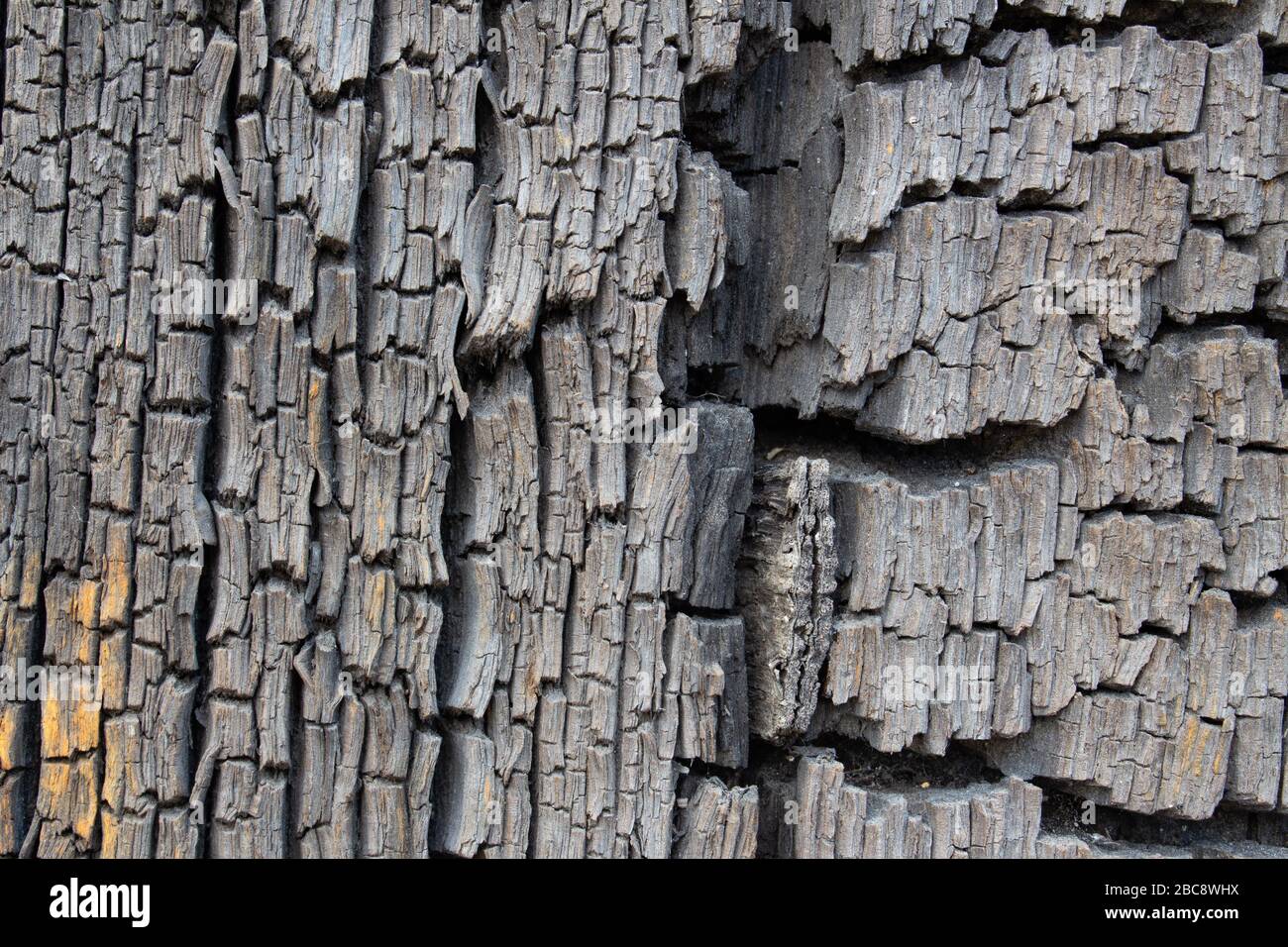 Primo piano di vecchia tessitura di legno incrinato antico, può essere usato come sfondo o sfondo Foto Stock