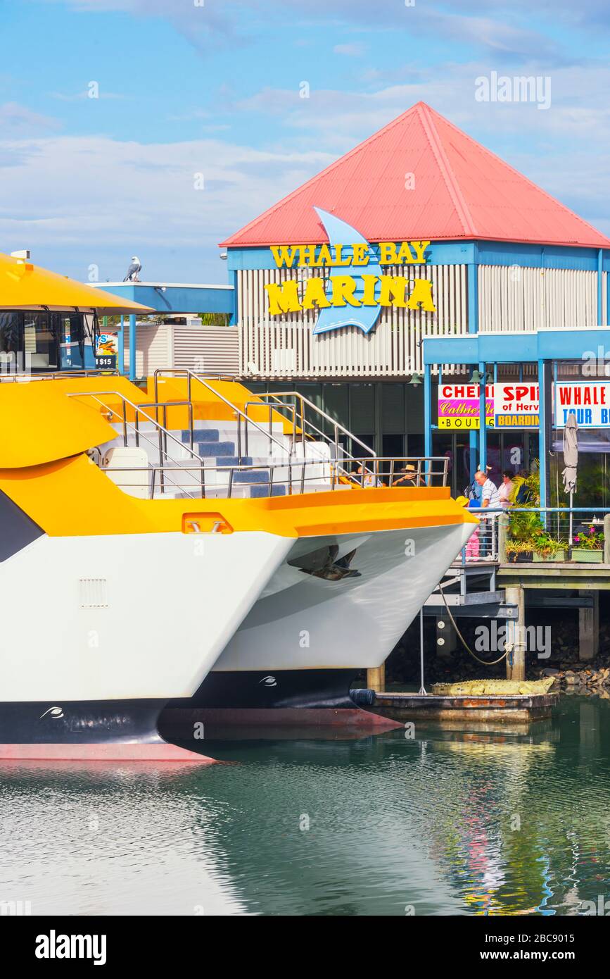 Boat Harbour, Urangan, Hervey Bay, Queensland, Australia, Oceania, Foto Stock