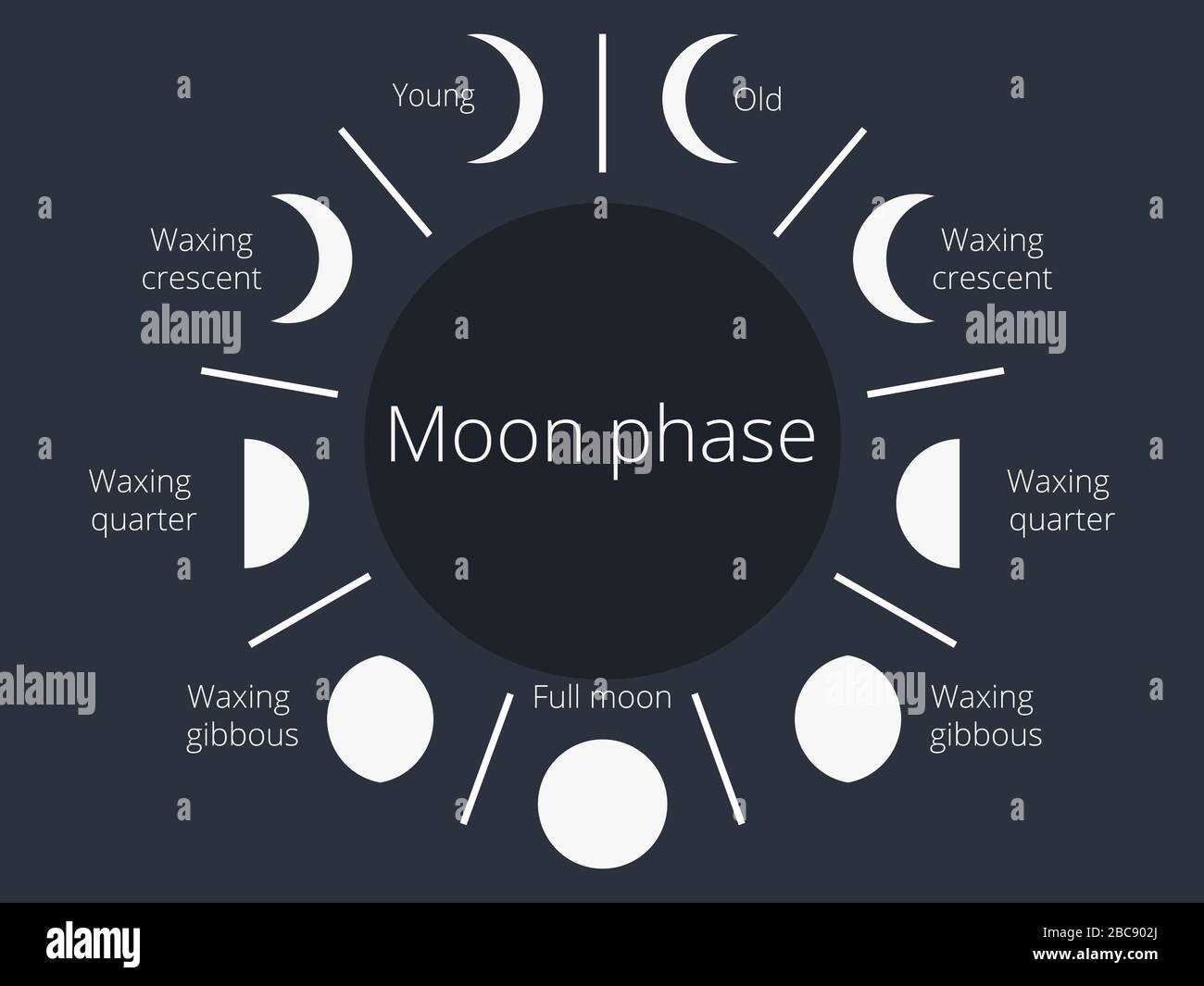 Fasi lunari. Tutto il ciclo dalla nuova luna al pieno. Illustrazione del vettore Illustrazione Vettoriale