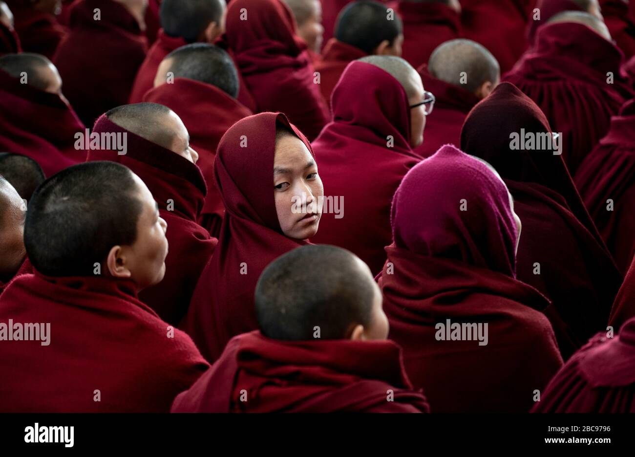 Il complesso di Tsuglagkhang a McLeod Ganj Dharamsala è la residenza ufficiale del Dalai lama fin dall'esilio dal Tibet. Foto Stock