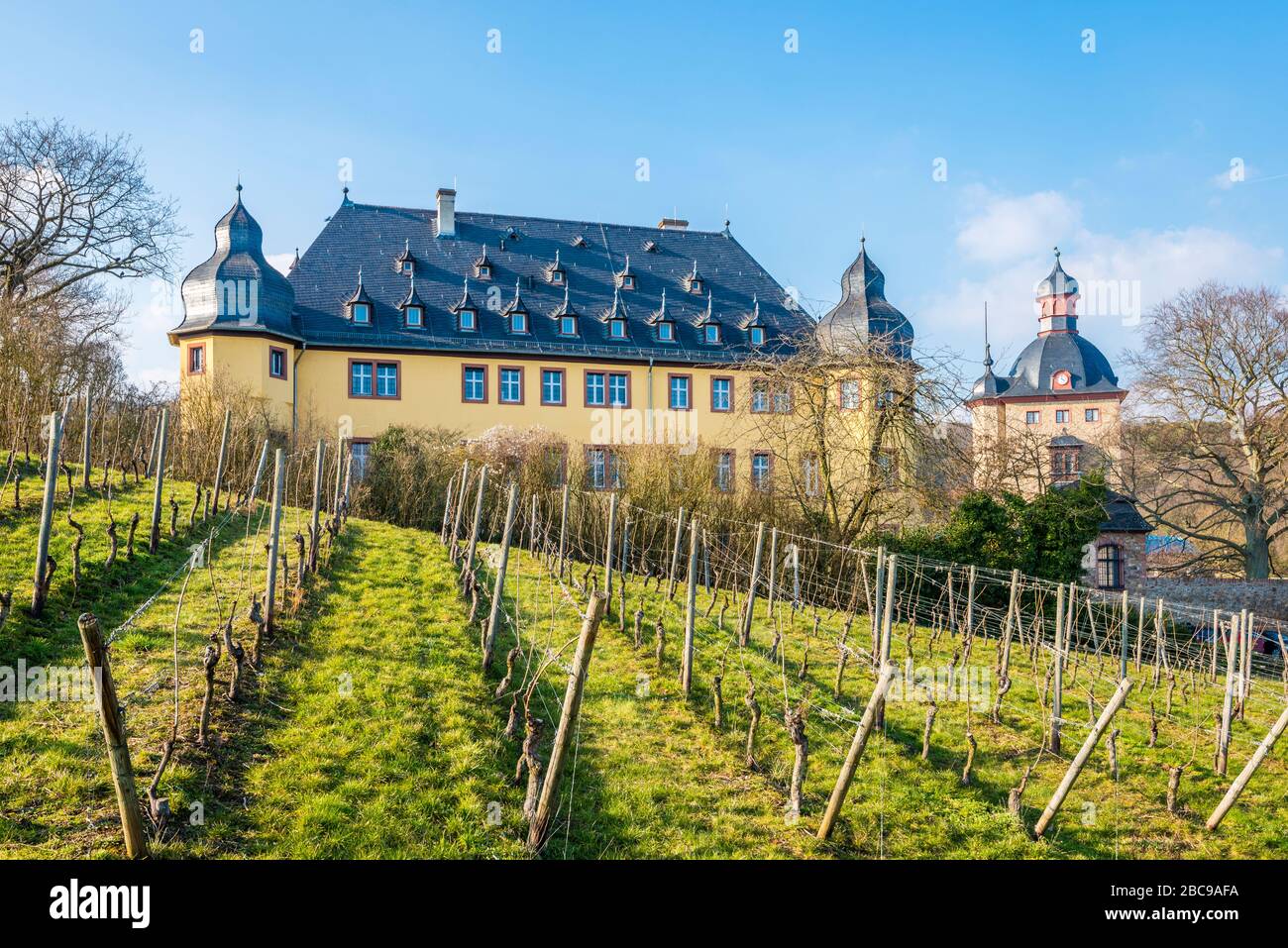 Castello di Vollraads nei pressi di Oestrich-Winkel, Prädikatsweingut nel Rheingau, la torre residenziale è costruita come un castello fossato, circondato da vigneti, Foto Stock