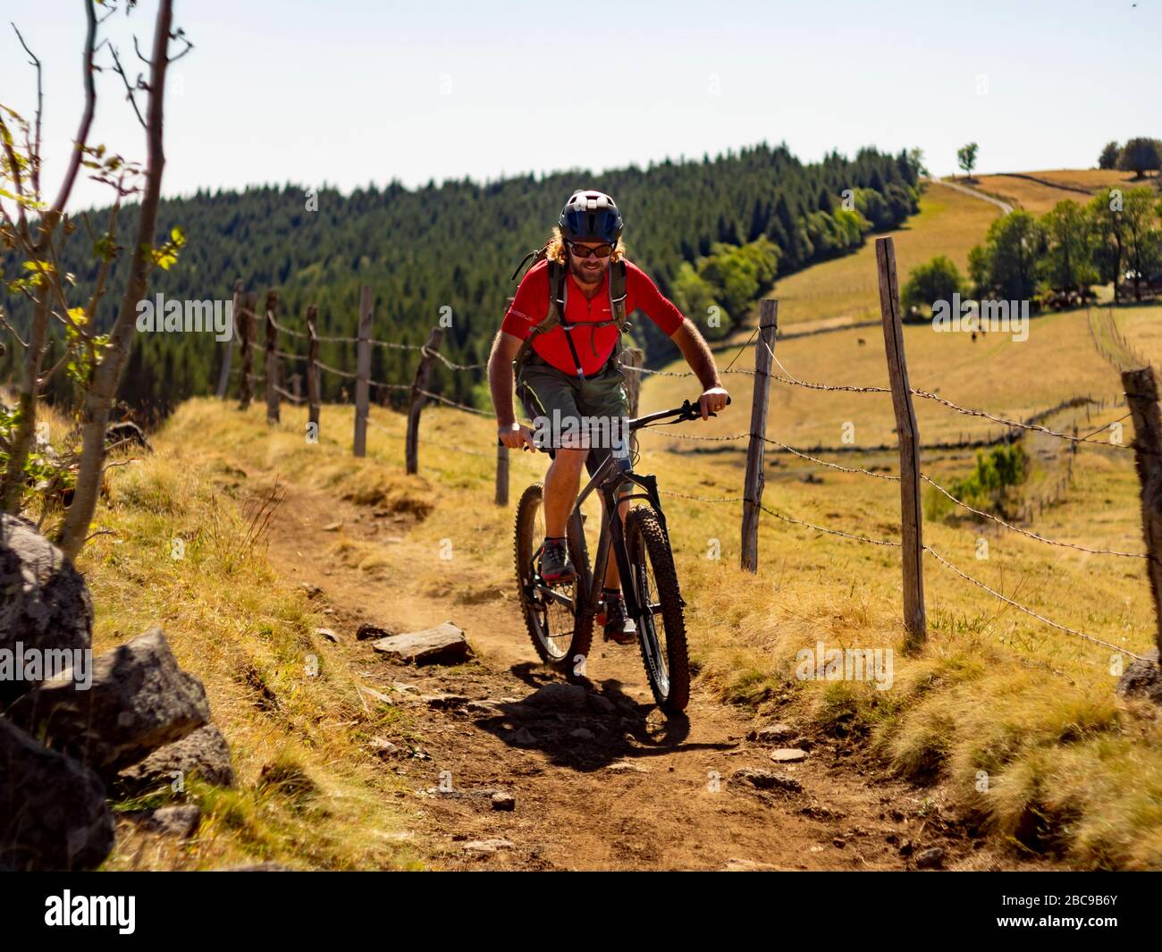 Mountain bikers sul sentiero unico GR 400 a Puy Gros, discesa sopra pascolo di montagna verso Thièzac sulla vecchia strada romana. Ancienne Voie Romaine. MO Foto Stock