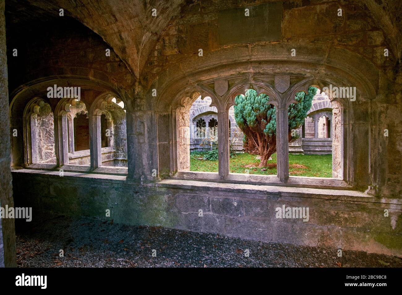 Gortaganniv, Gortaganniff, Co. Clare, Irlanda - 10/26/2018: Vecchio convento agostiniano ad est di Adare, Irlanda. Cortile visto attraverso archi dal passaggio pedonale. Foto Stock