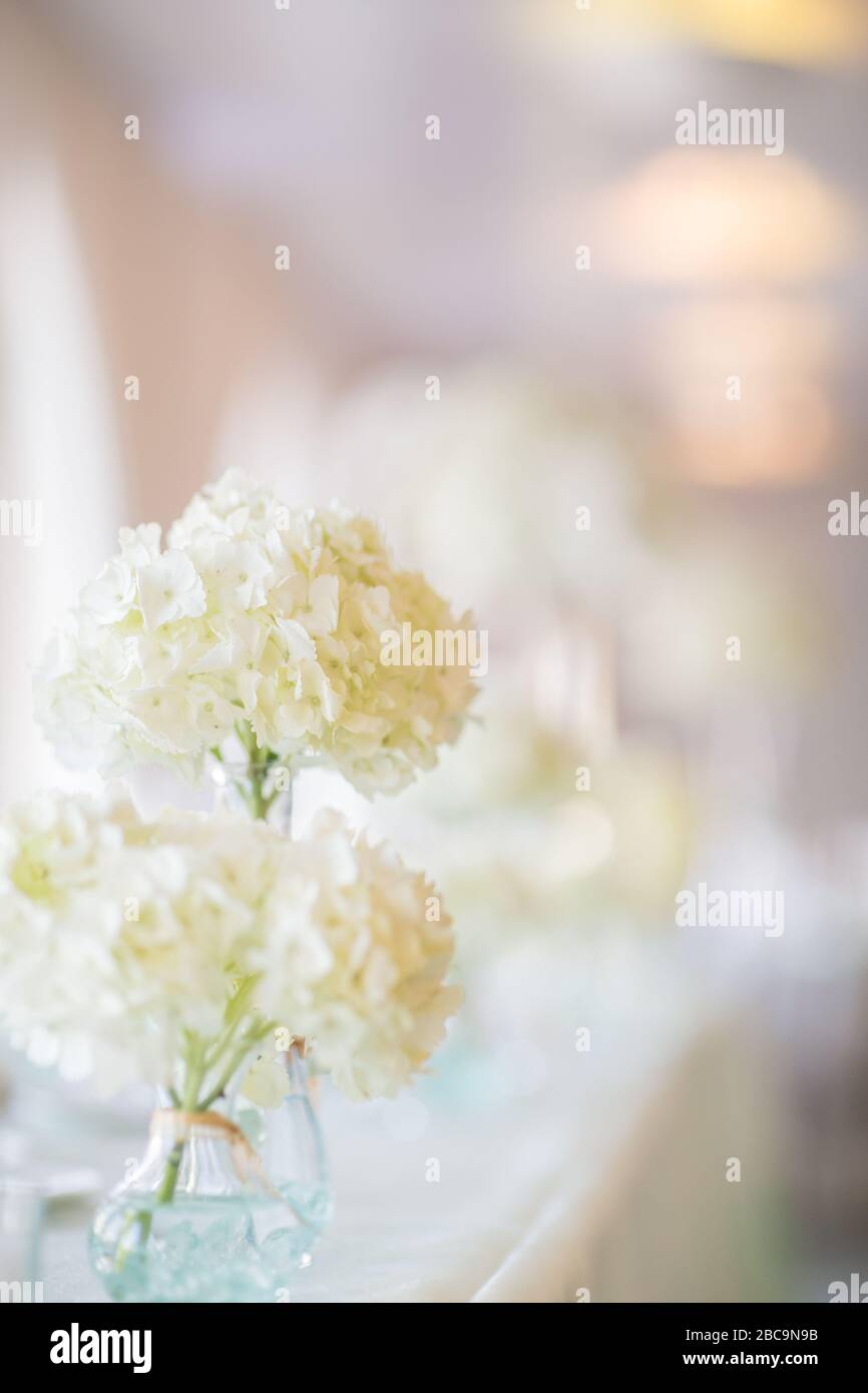 Decorazioni per le nozze in tutto bianco con fiori e candele Foto Stock