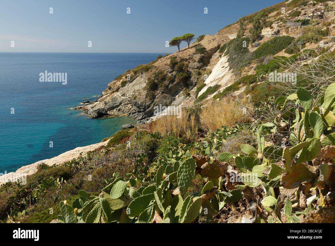 Costa del Sole, strada costiera meridionale a Marina di campo, Isola d'Elba, Parco Nazionale dell'Arcipelago Toscano, Provincia di Livorno, Toscana, Italia Foto Stock