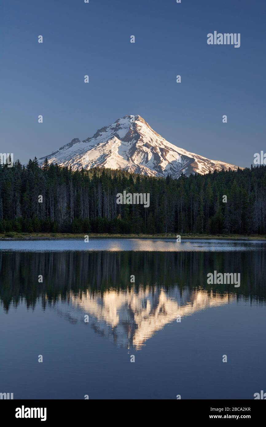 Mount Hood da Frog Lake, Oregon USA Foto Stock