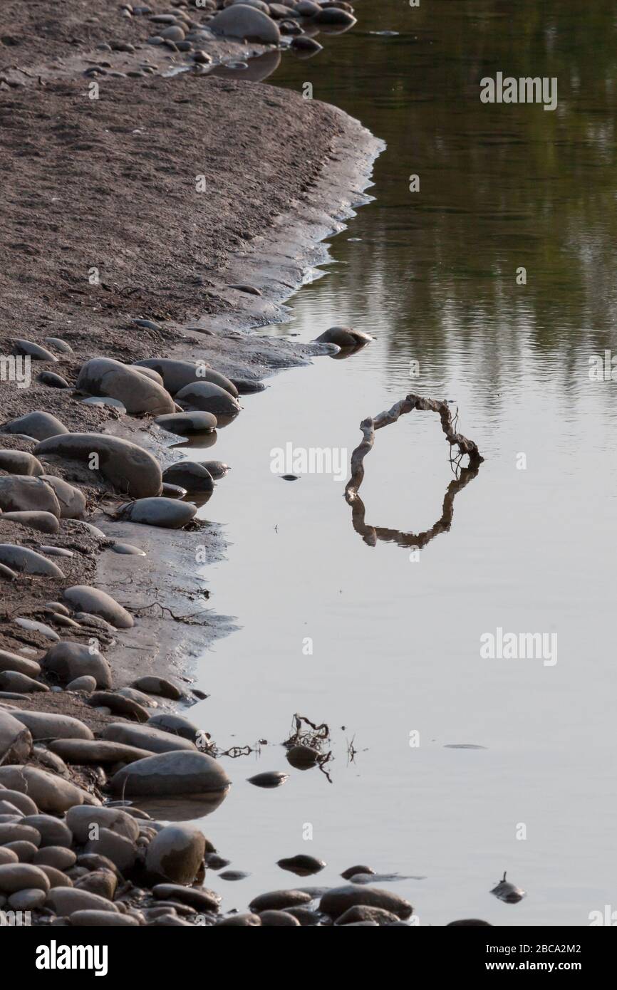 Una radice di albero intrecciata che rompe la superficie di un ruscello calmo per creare l'illusione di un cerchio quando guardato con il suo riflesso. Foto Stock