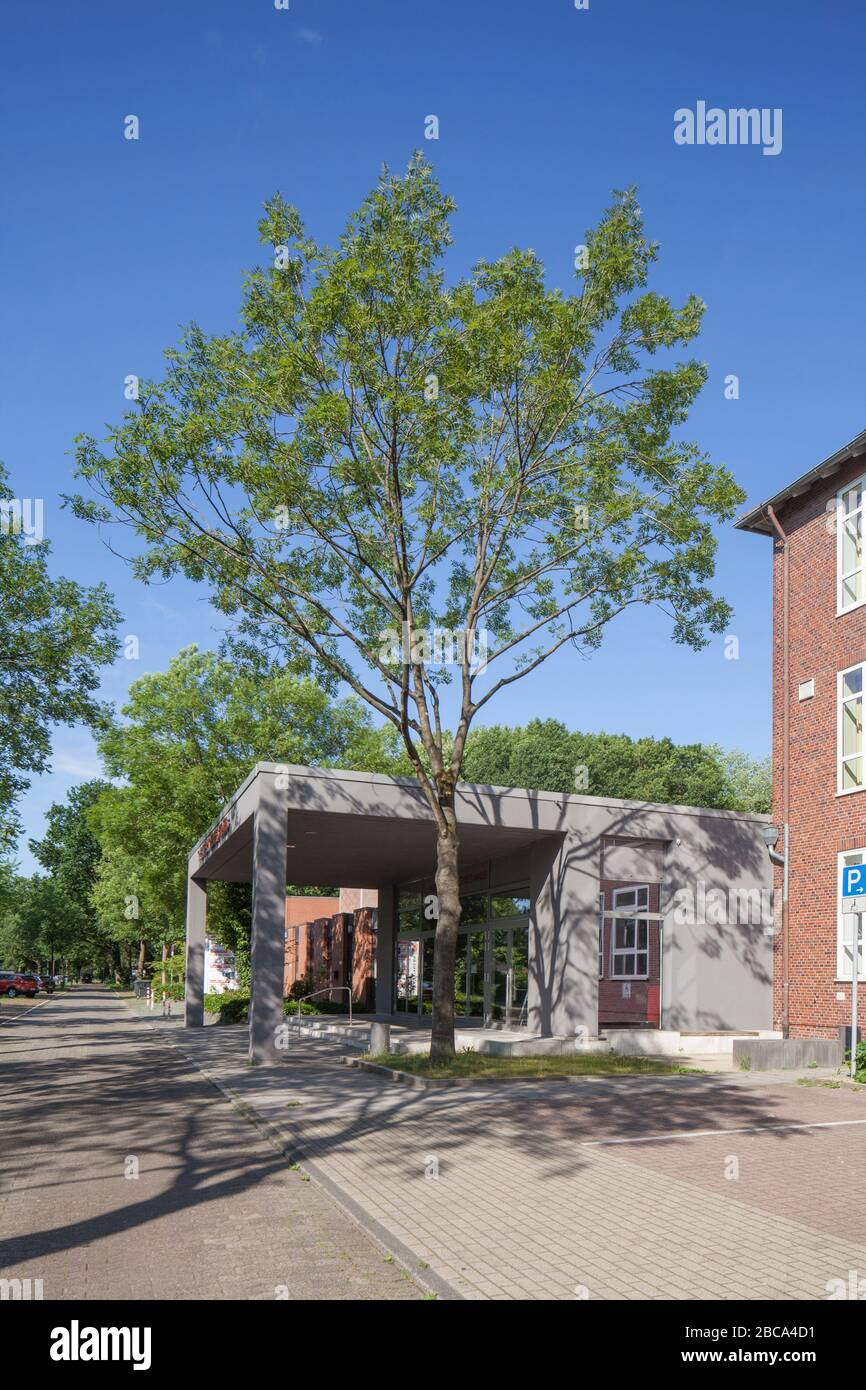 Teatro, Delmenhorst, bassa Sassonia, Germania, Europa Foto Stock