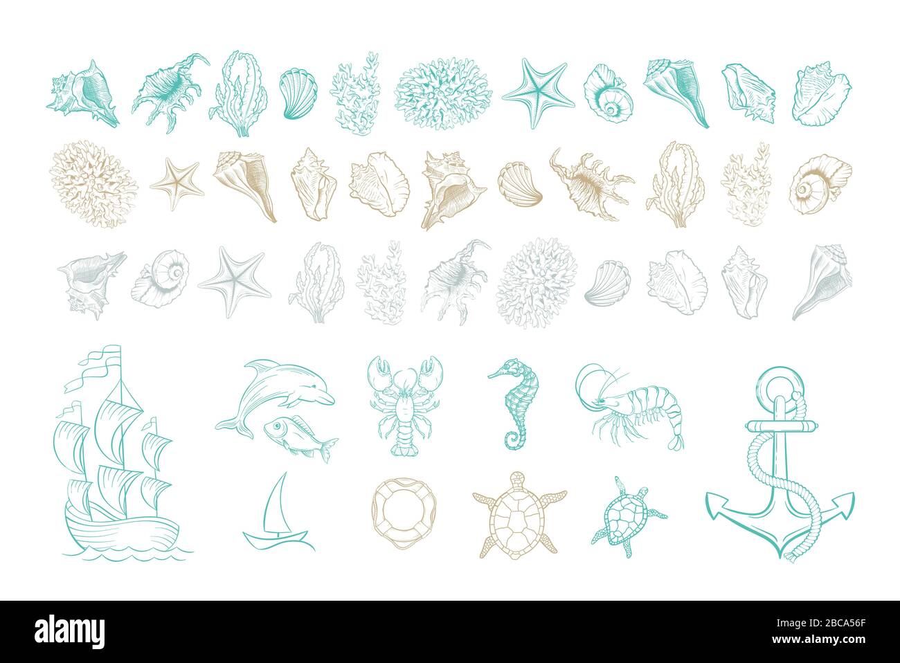 Linee marine icone vettoriali d'arte di conchiglie, ancora e molluschi. Insieme disegnato a mano di schiusa di conchiglie marine, cavallucci marini, pesci delfini e tartarughe, ancora e boa, coralli, gamberetti e yacht nave Illustrazione Vettoriale