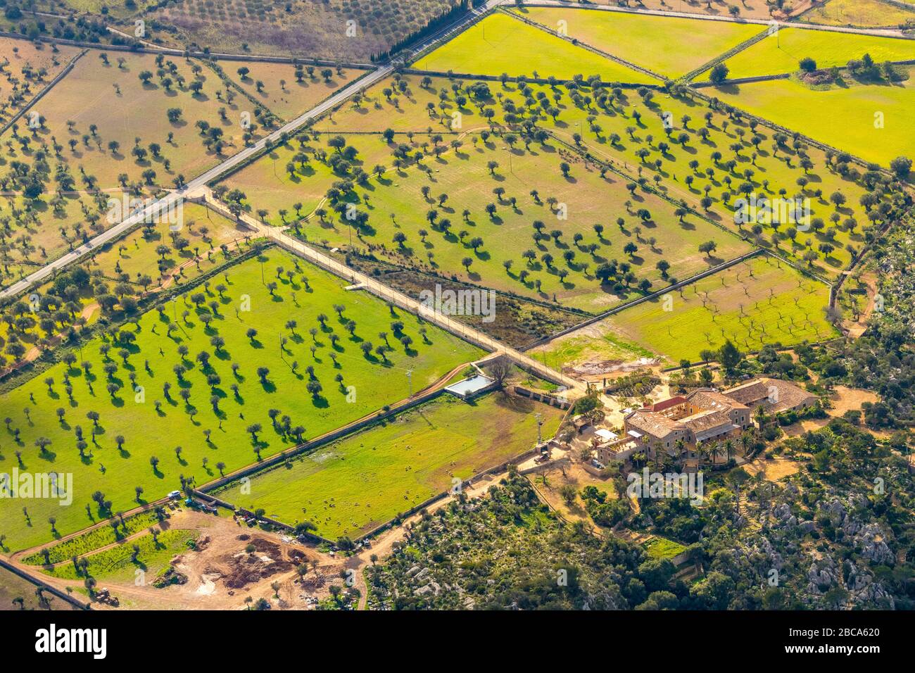 Veduta aerea, isola, alberi in prati e campi sulla Carretera ma-10, Hotel Vistamar ai margini della foresta, Valldemossa, Mallorca, Isole Baleari Foto Stock