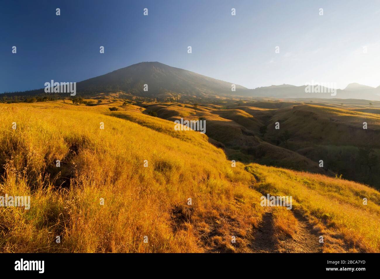 Sentiero escursionistico del Monte Rinjani dal villaggio di Sembalun, vista su un pomeriggio estivo Foto Stock