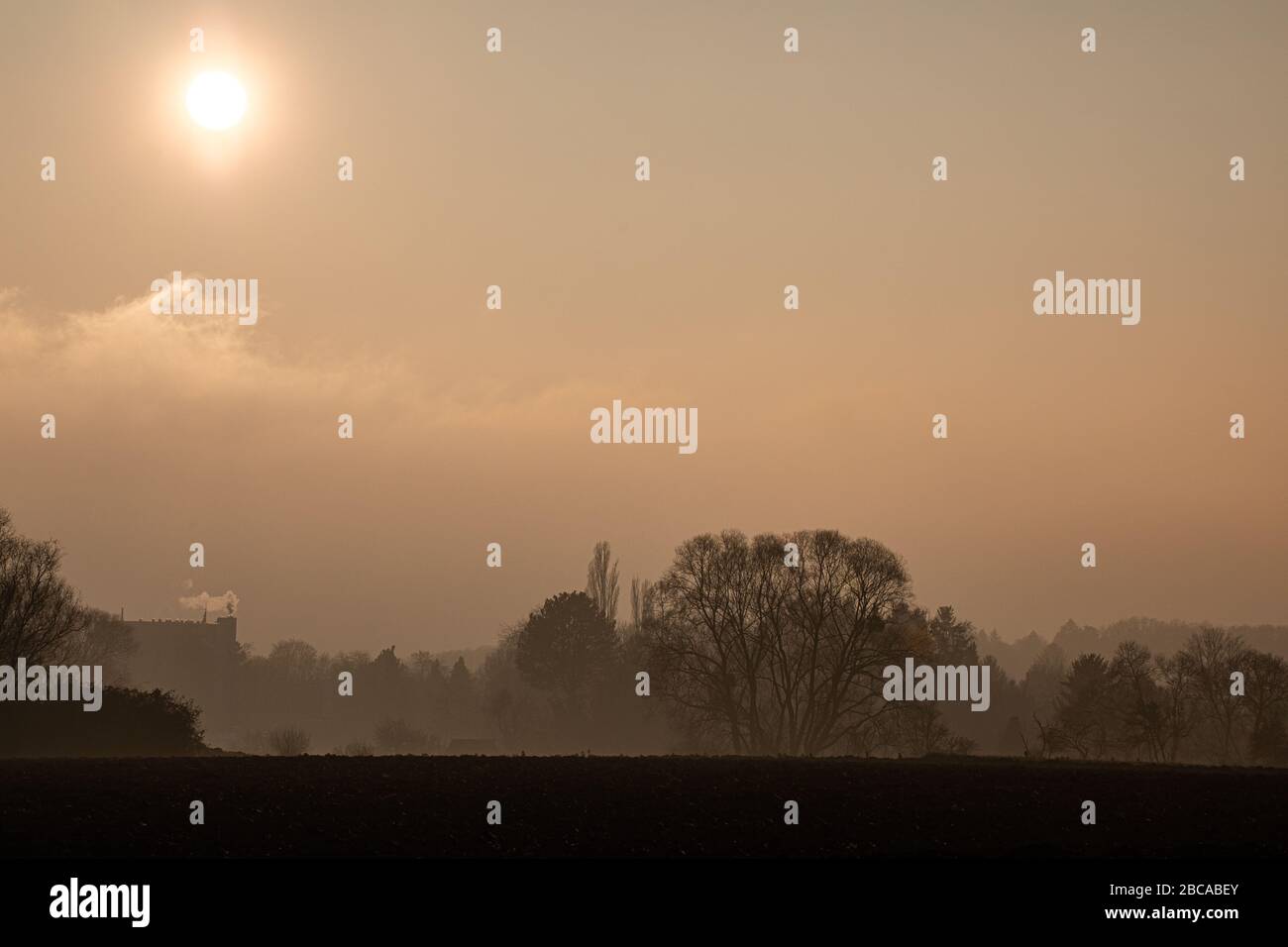 Sole dietro le nuvole sopra un pezzo di foresta. Foto Stock