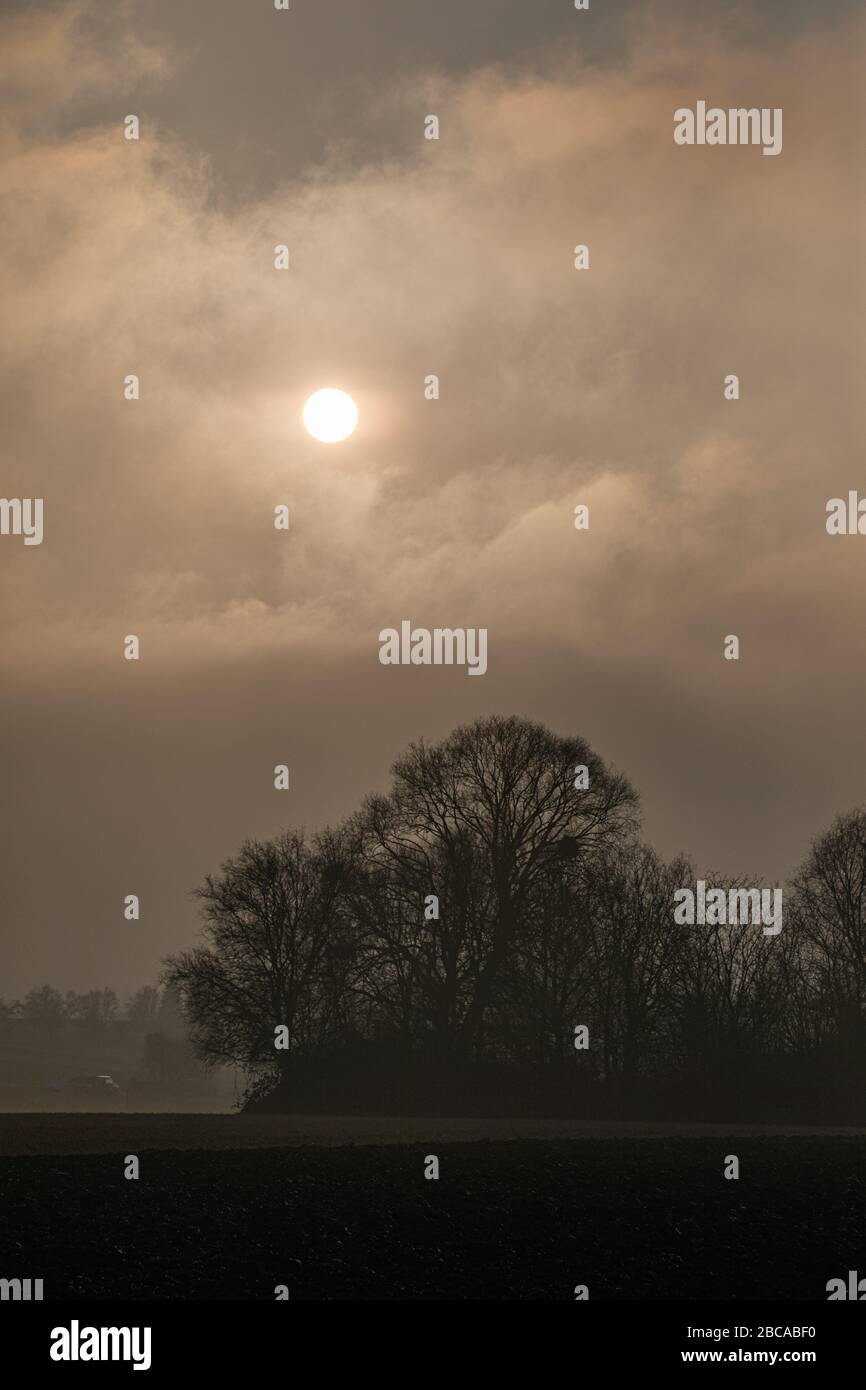 Sole dietro le nuvole sopra un pezzo di foresta. Foto Stock