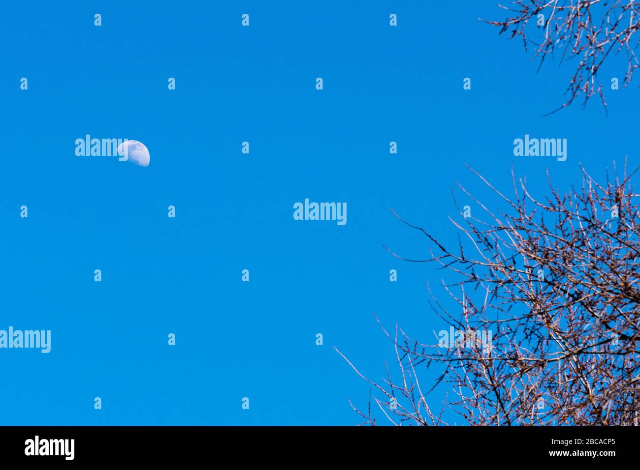 Toronto, Canada. 2 aprile 2020. Una luna diurna è vista su un cielo di pomeriggio soleggiato a Toronto. Dominic Chan/EXimages Foto Stock