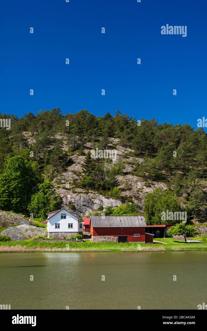Svezia, Bohuslan, Isola di Tjorn, Valla, fattoria costiera Foto Stock