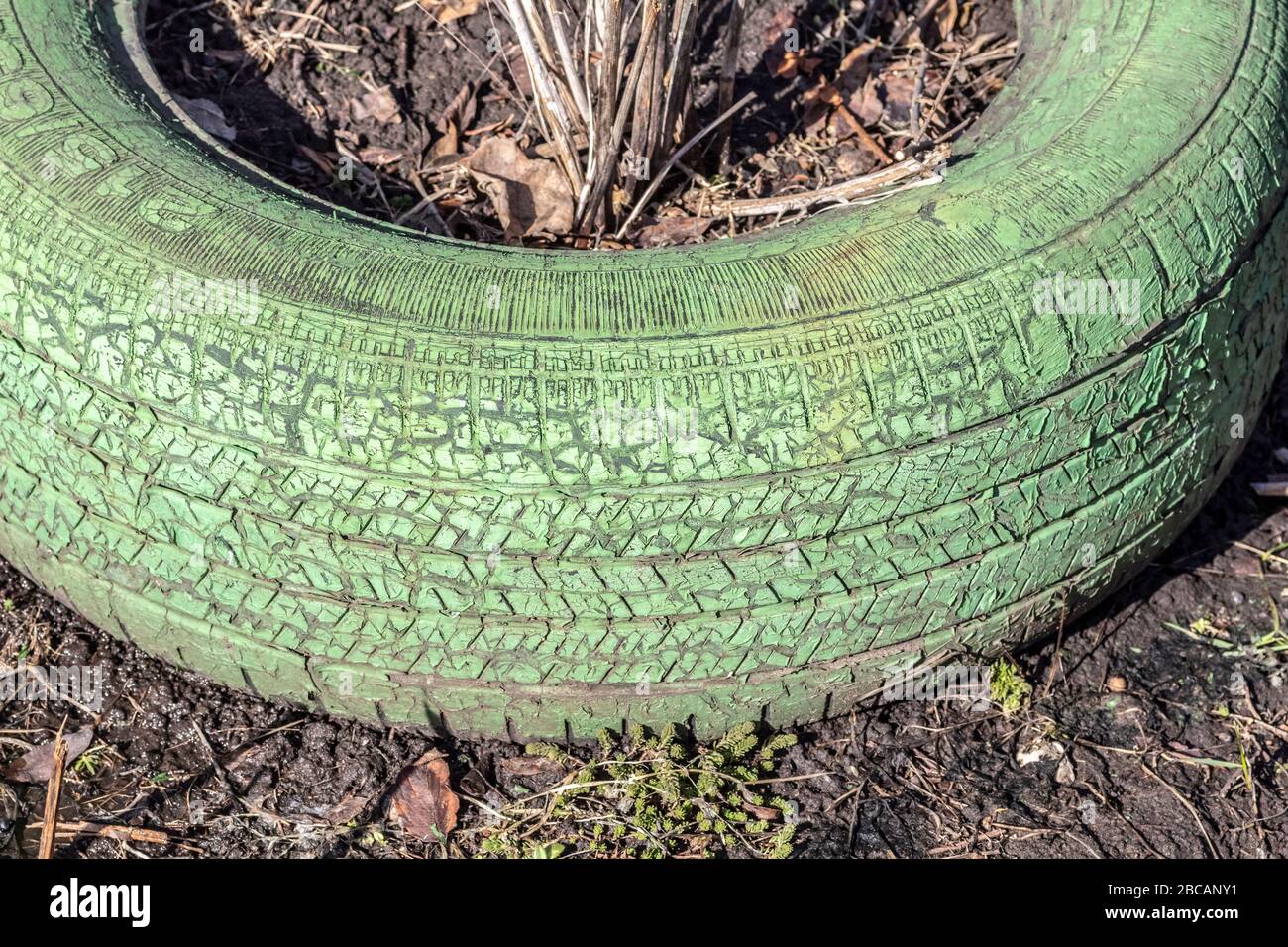 Vecchio pneumatico dipinto con vernice verde nel cortile. Foto Stock