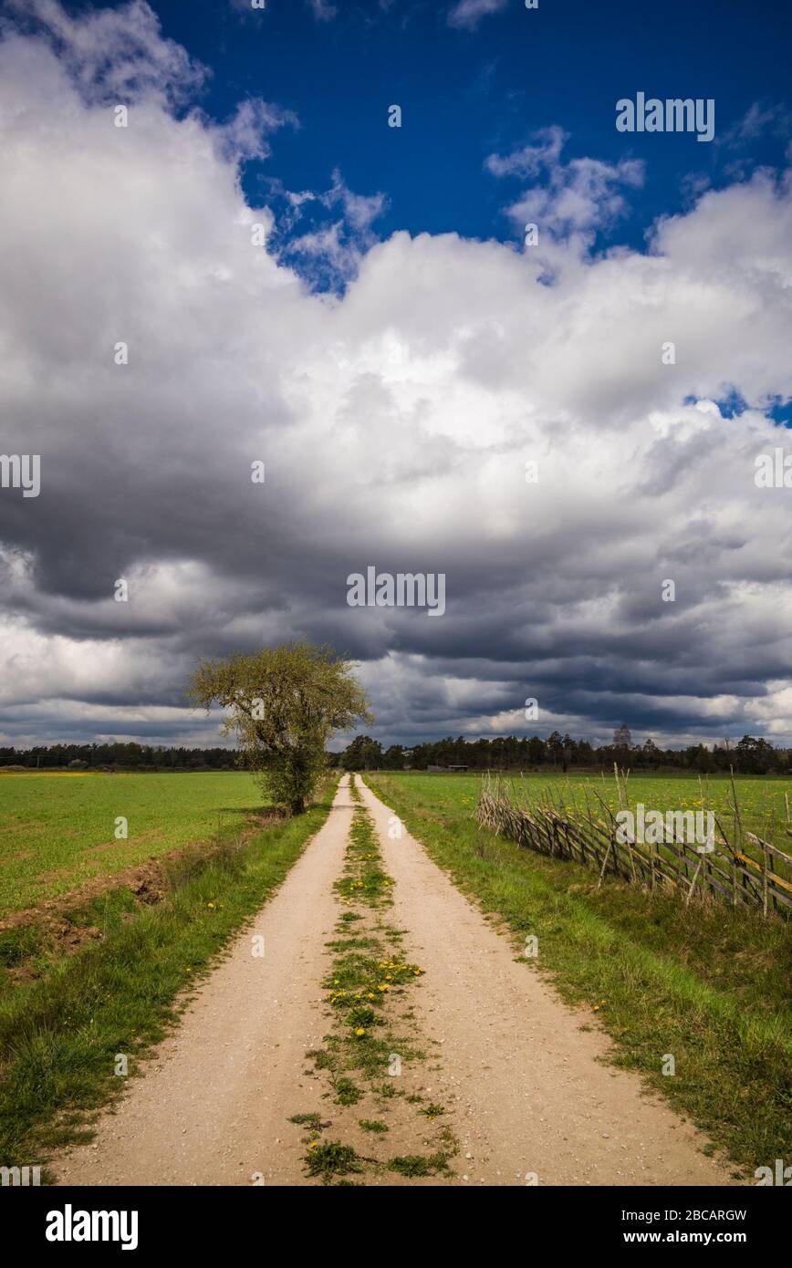 Svezia, Gotland Island, Botvatte, strada di campagna Foto Stock