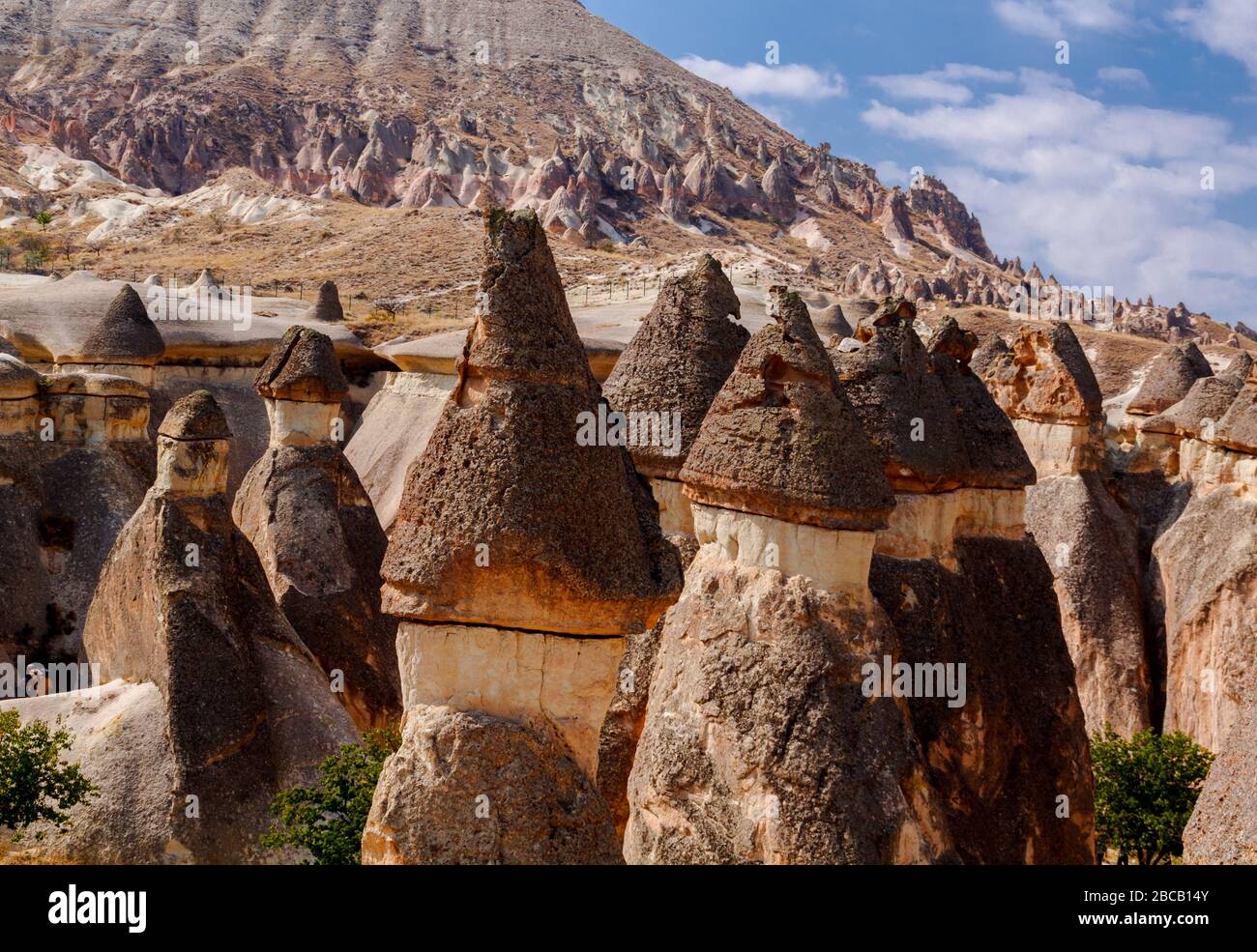 Pittoresco paesaggio sul parco nazionale di Goreme. Cappadocia, Turchia. Vista panoramica delle colonne di agenti atmosferici nella Valle dei monaci. Pashabag. Foto Stock