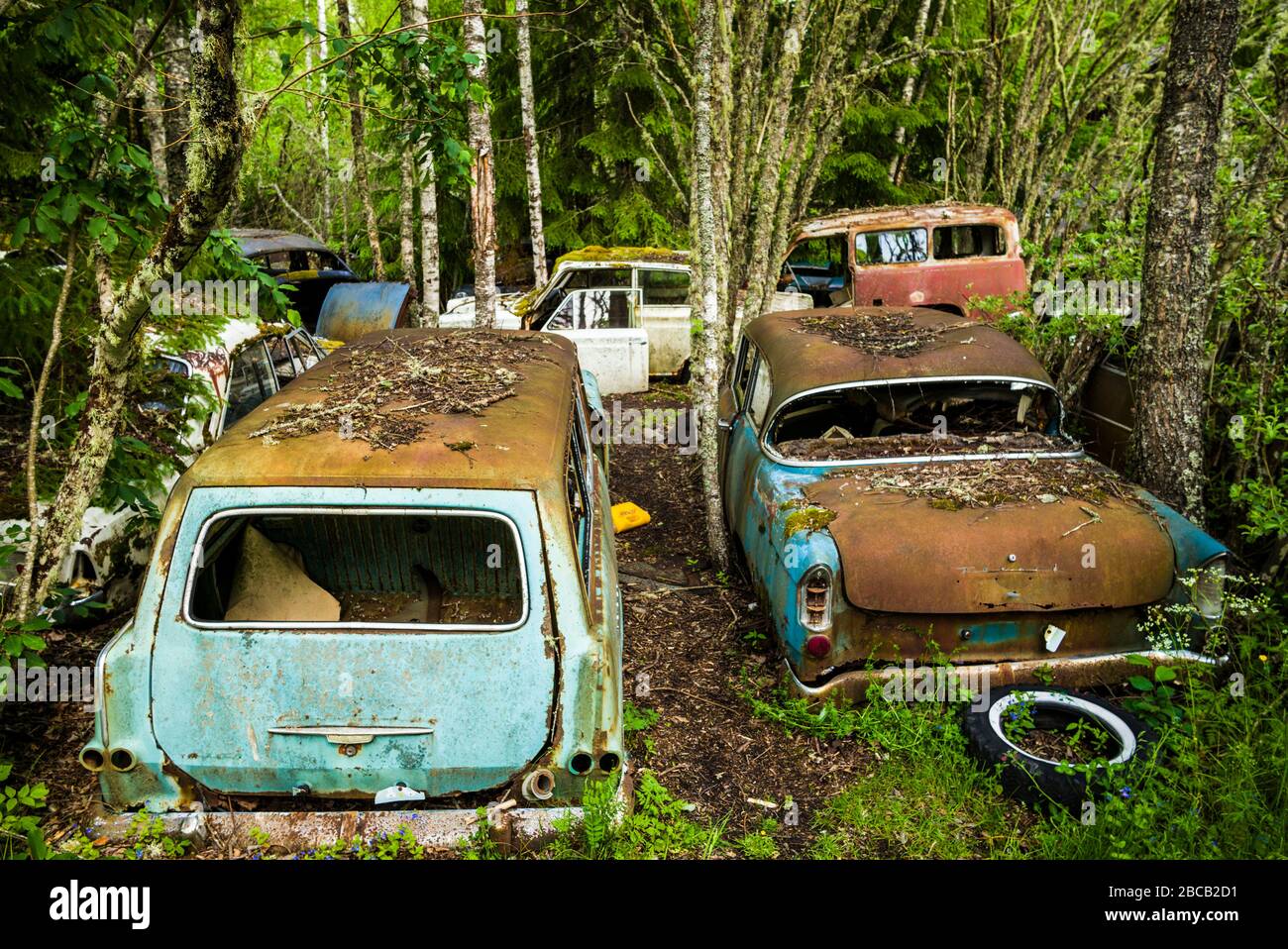 Svezia, Varmland, Bastnas, Bastnas Car Cemetery parcheggio pubblico, antico junkyard auto Foto Stock