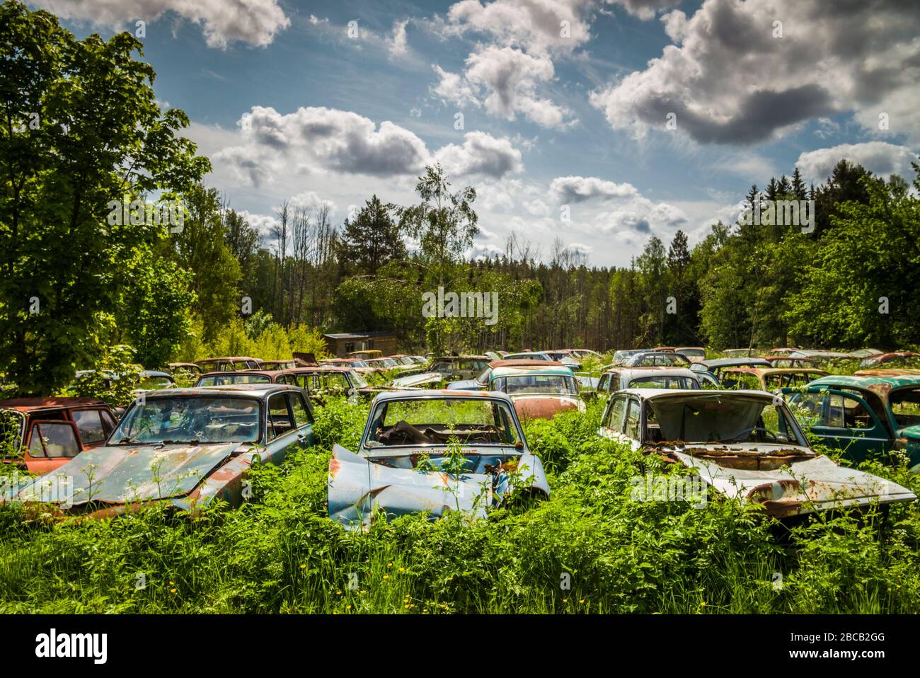Svezia, Varmland, Bastnas, Bastnas Car Cemetery parcheggio pubblico, antico junkyard auto Foto Stock
