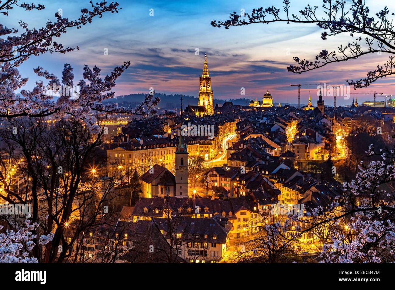 Vista sul centro storico di Berna all'ora blu durante la fioritura dei ciliegi. Foto Stock