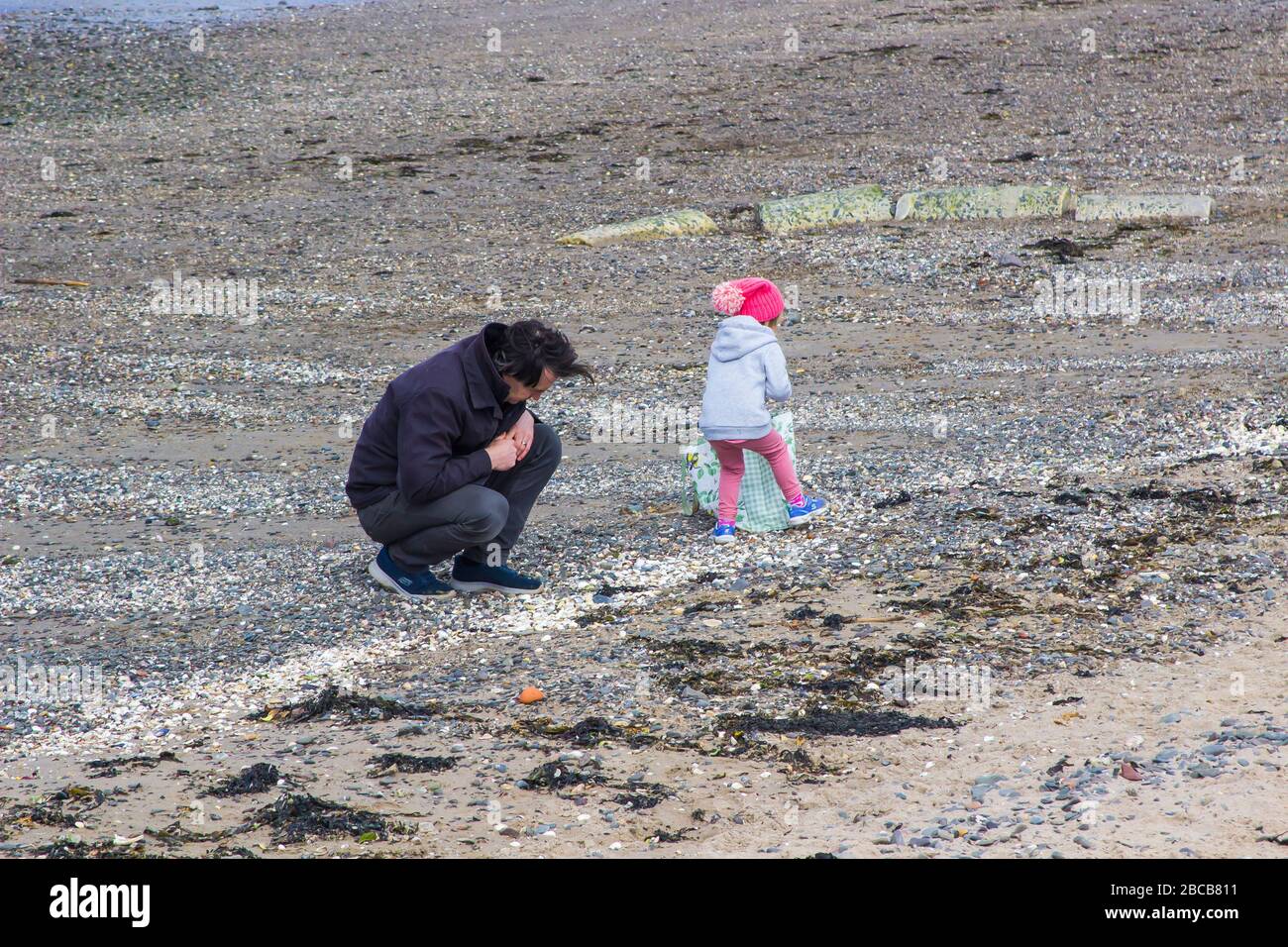 3 aprile 2020 UN padre e una bambina che raccolgono conchiglie insieme sulla spiaggia di Ballyholme nella contea di Bangor nell'Irlanda del Nord in un pomeriggio piacevole dentro Foto Stock
