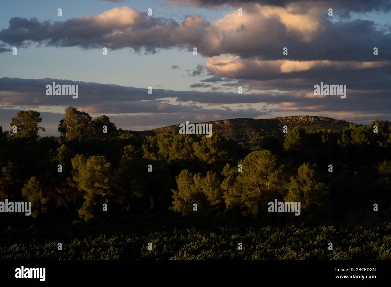 Una vista sui boschi e una collina lontana in calda luce del sole serale nella regione Valenciana di Spagna Foto Stock
