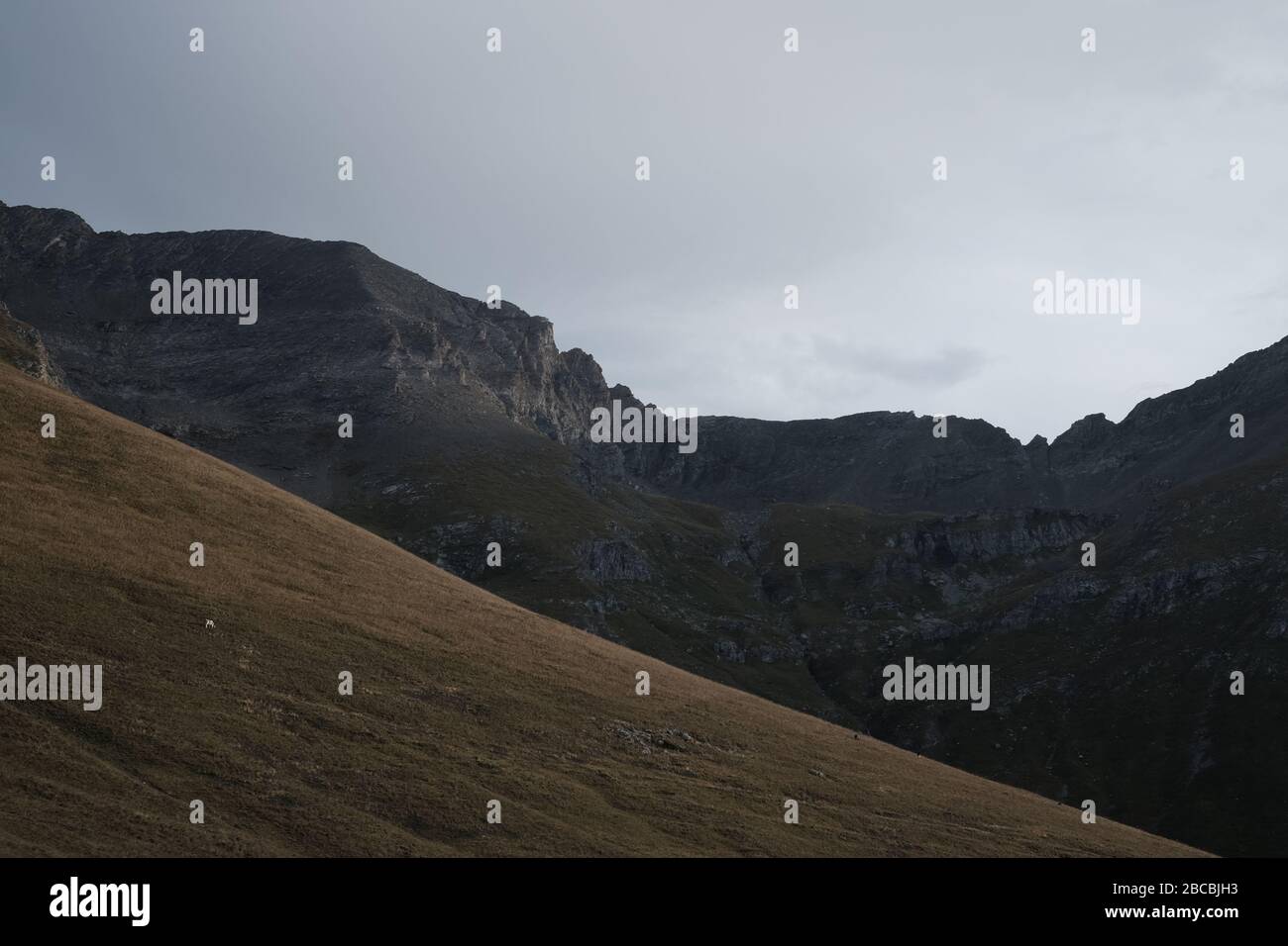 Trekking sul Monte Rocciamelone in Valsusa Foto Stock