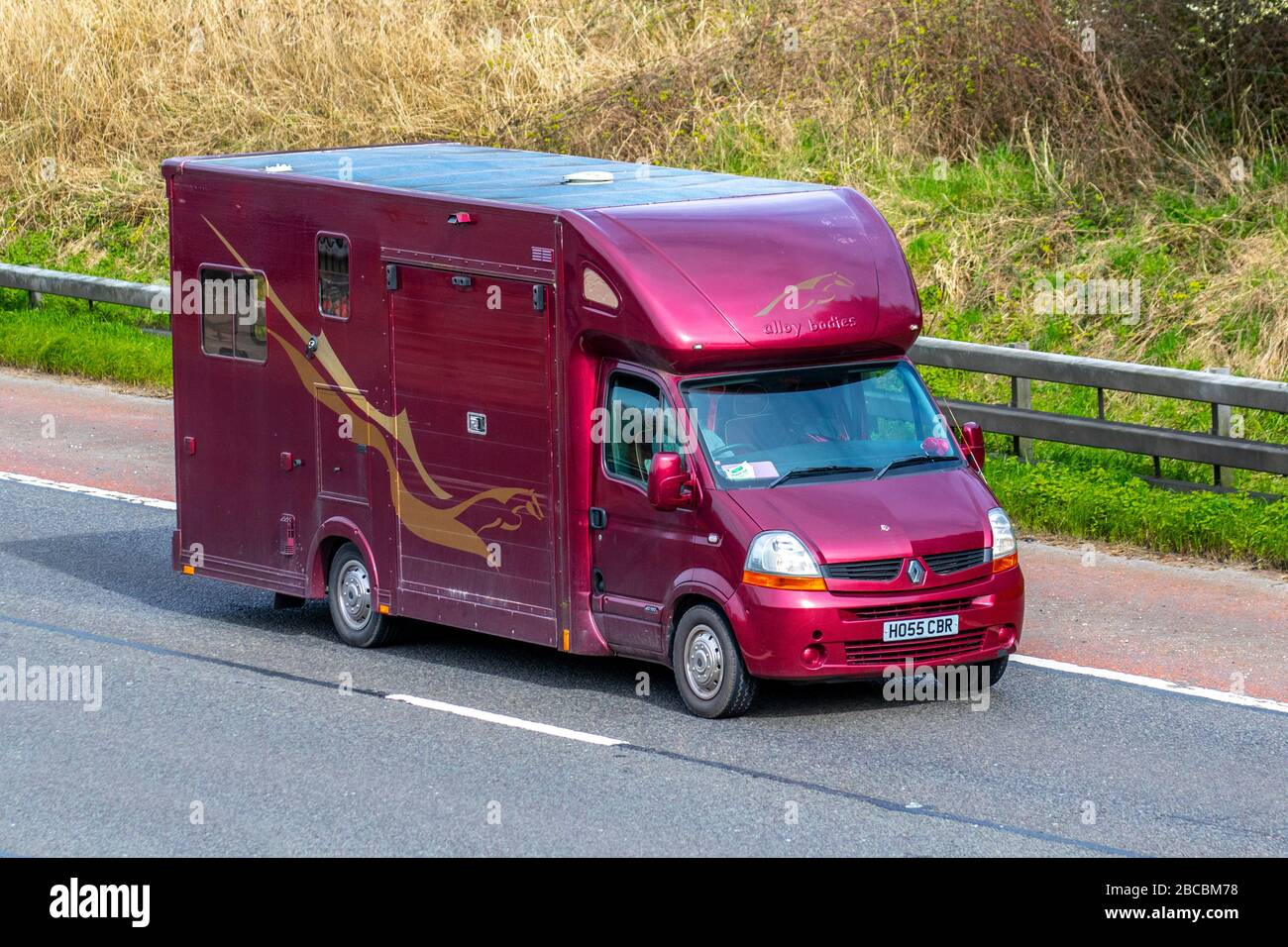 2007 Maroon Renault Master Lm35 DCI 100; crine van; trasporto di animali sull'autostrada M6, Lancashire, Regno Unito Foto Stock