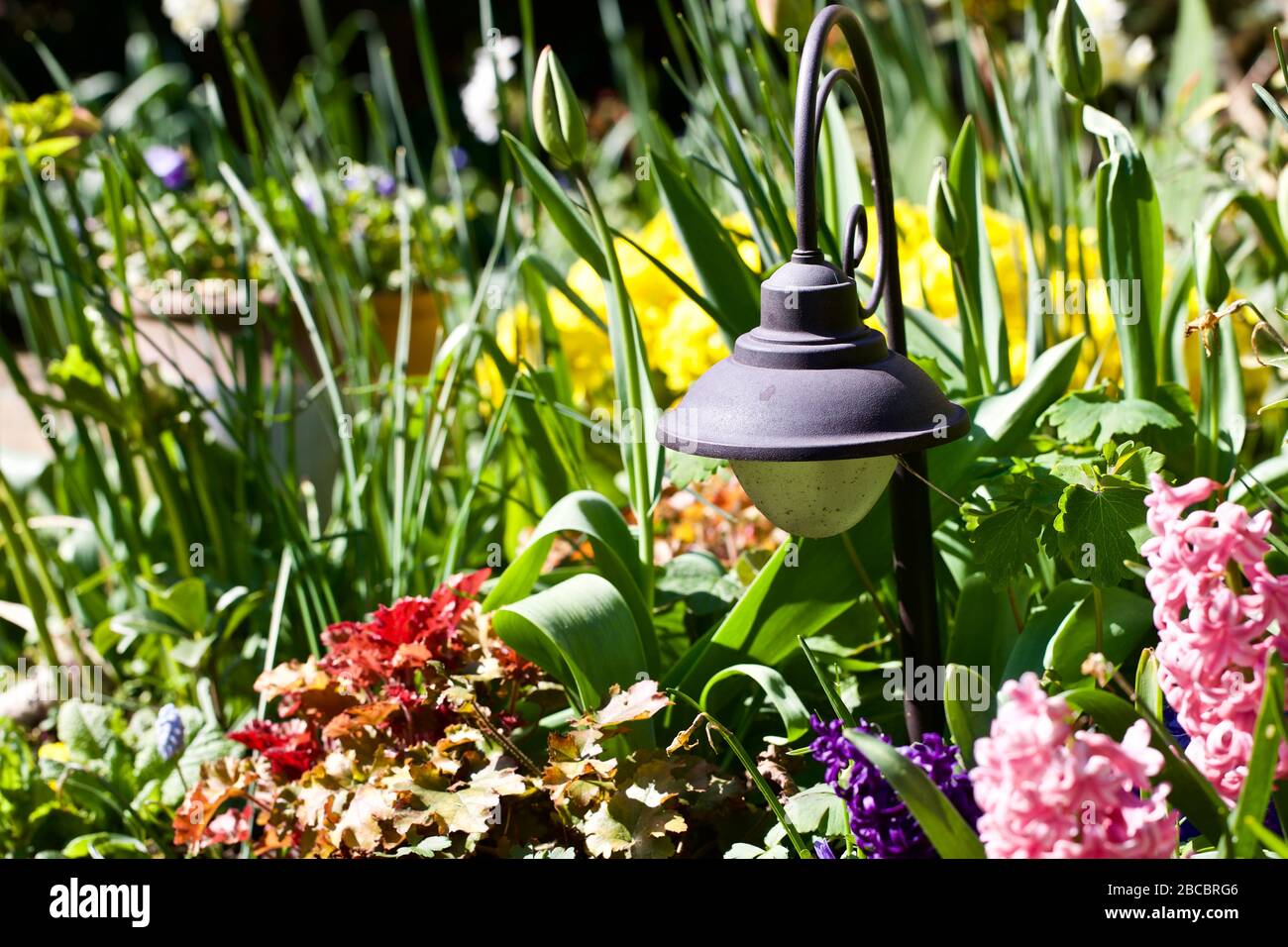 Attraente bordo giardino Foto Stock