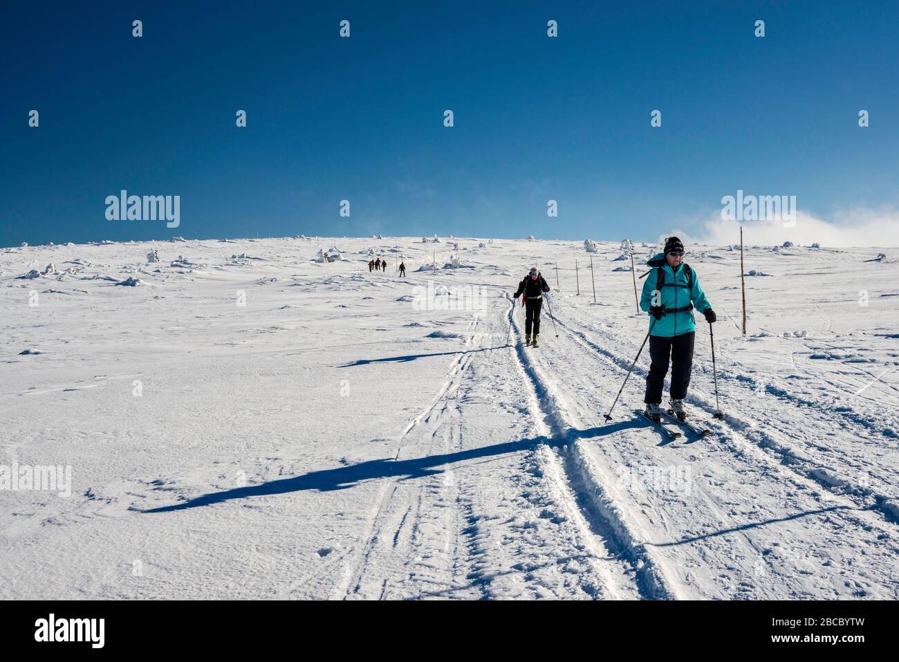 Sci di fondo sul sentiero, che corre lungo il confine polacco-ceco, altopiano subalpino, cresta principale nel Parco Nazionale di Karkonosze, bassa Slesia, Polonia Foto Stock