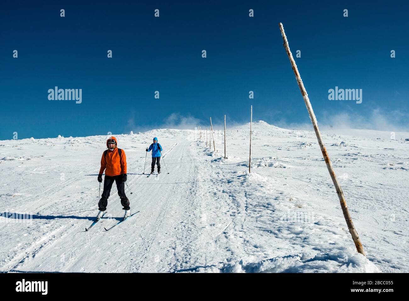 Sci di fondo sul sentiero, che corre lungo il confine polacco-ceco, altopiano subalpino, cresta principale nel Parco Nazionale di Karkonosze, bassa Slesia, Polonia Foto Stock