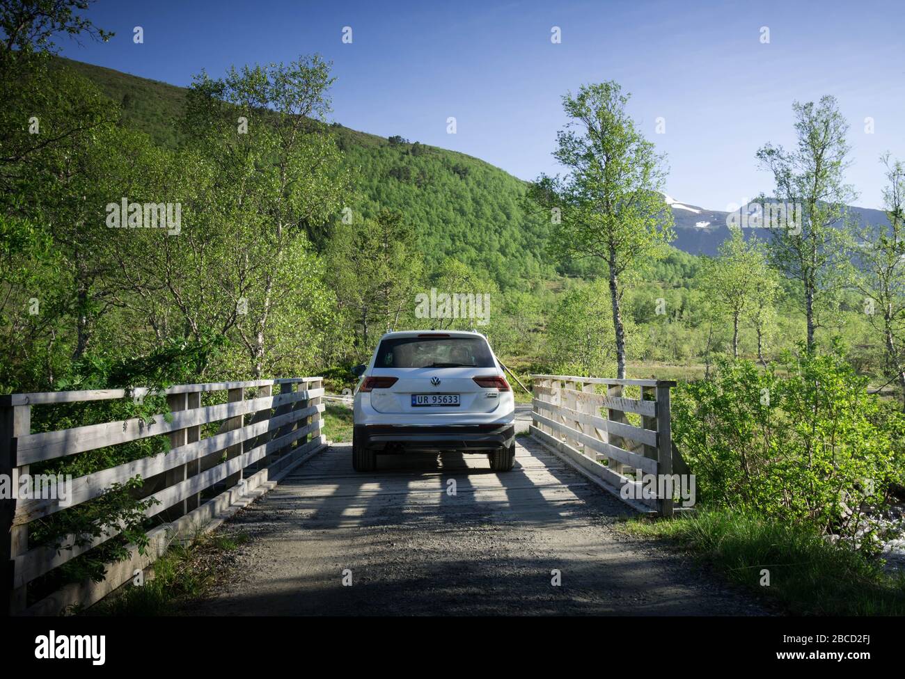 VW Tiguan ona ponte di legno nella foresta. Foto Stock