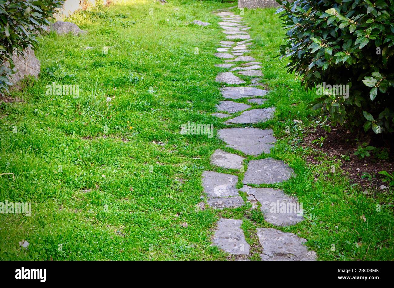 Un percorso di pietra passo circondato da verde grass.Pathway in antico castello a Rijeka, Croatia.Stepping percorso di pietra in prato al sole con gras sempreverdi. Foto Stock
