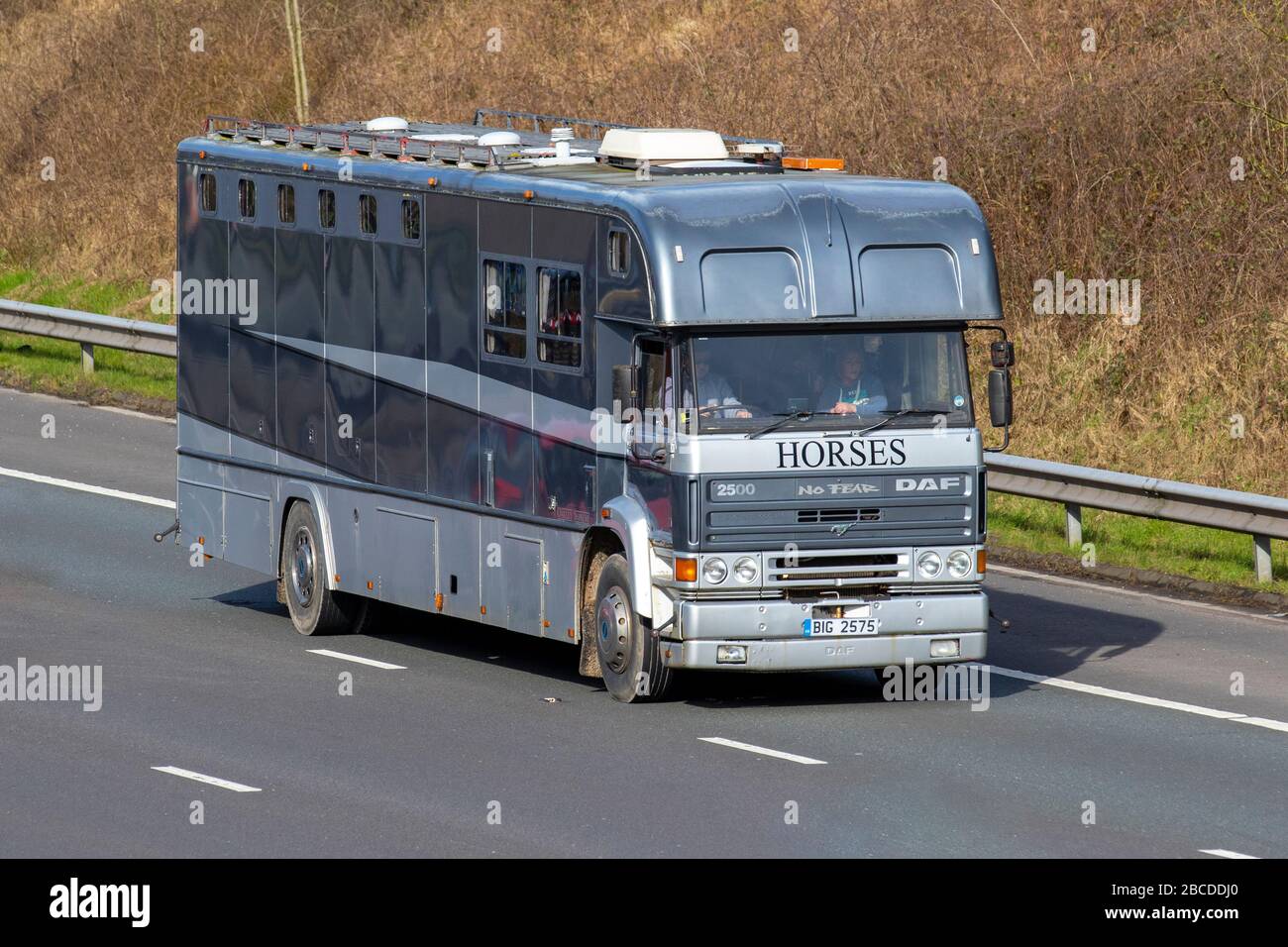 Anni '1989 80, furgone DAF Oakey Supreme Horsebox; cavalli in transito; trasporto di animali sull'autostrada M6, Lancashire, Regno Unito Foto Stock
