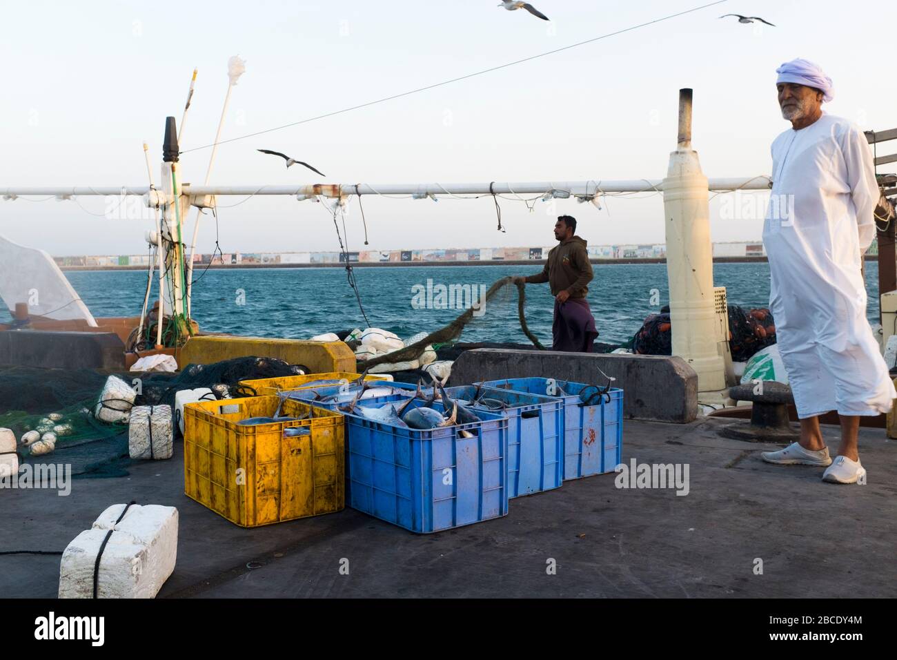 La cattura giornaliera di pesce viene sbarcata, ispezionata da potenziali acquirenti e venduta all'asta a sur, nel nord-est dell'Oman Foto Stock