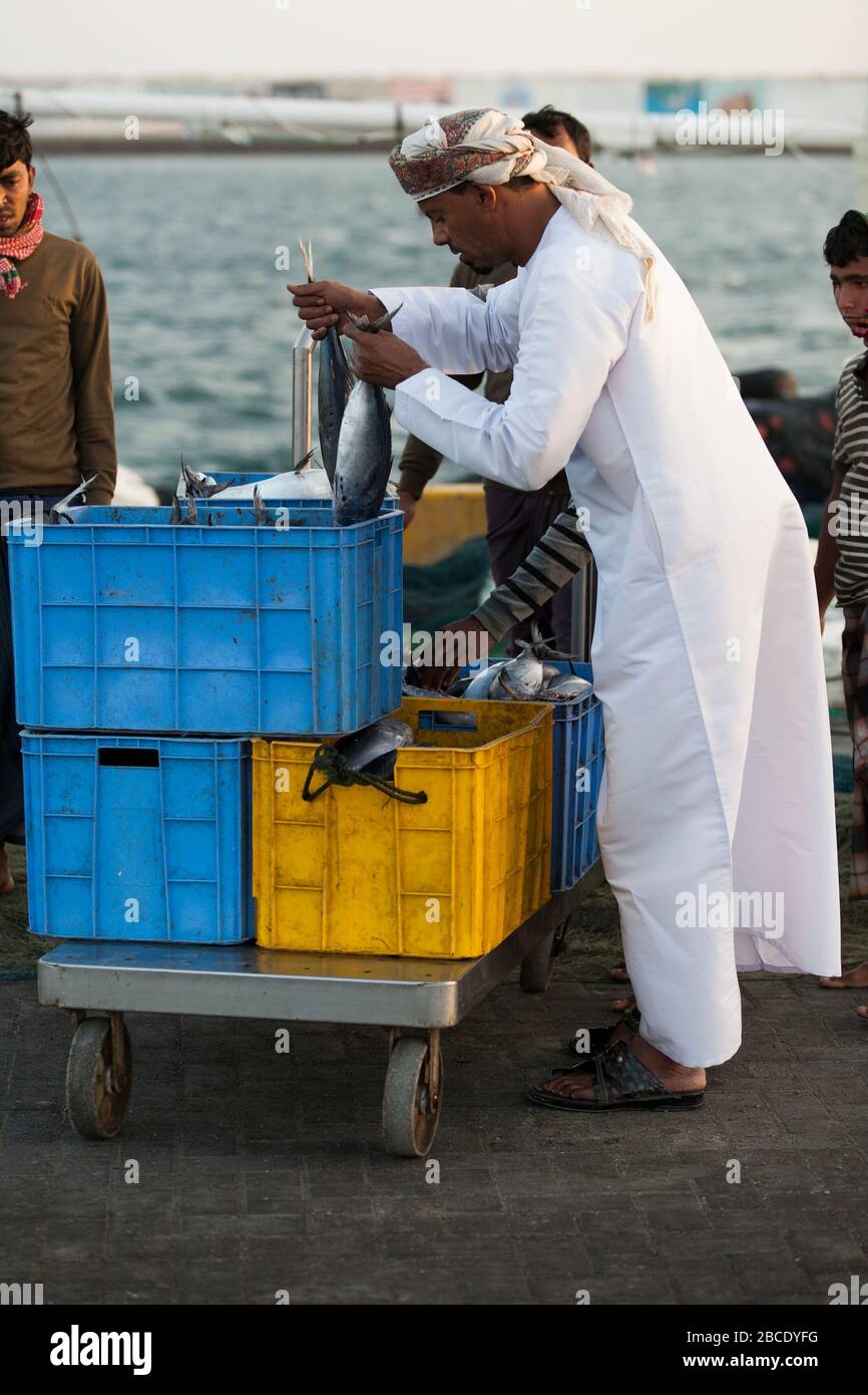 La cattura giornaliera di pesce viene sbarcata, ispezionata da potenziali acquirenti e venduta all'asta a sur, nel nord-est dell'Oman Foto Stock