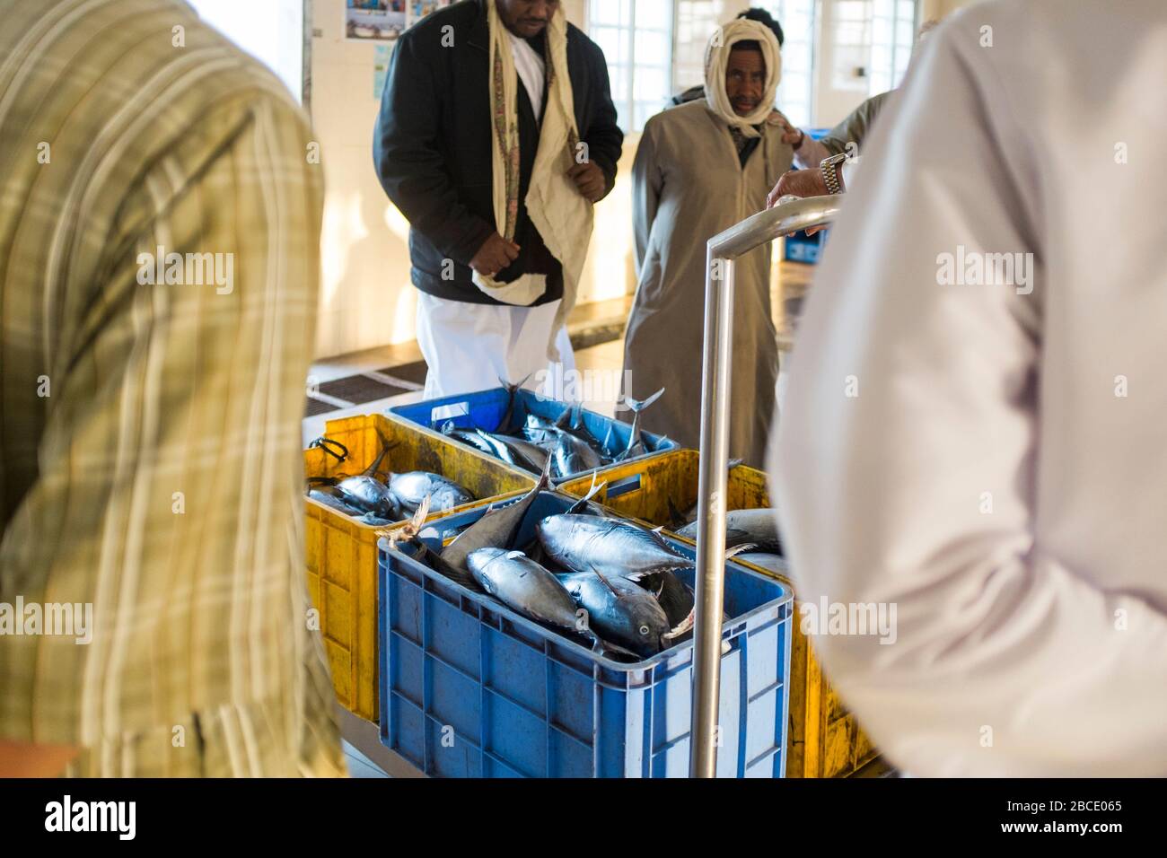 La cattura giornaliera di pesce viene sbarcata, ispezionata da potenziali acquirenti e venduta all'asta a sur, nel nord-est dell'Oman Foto Stock