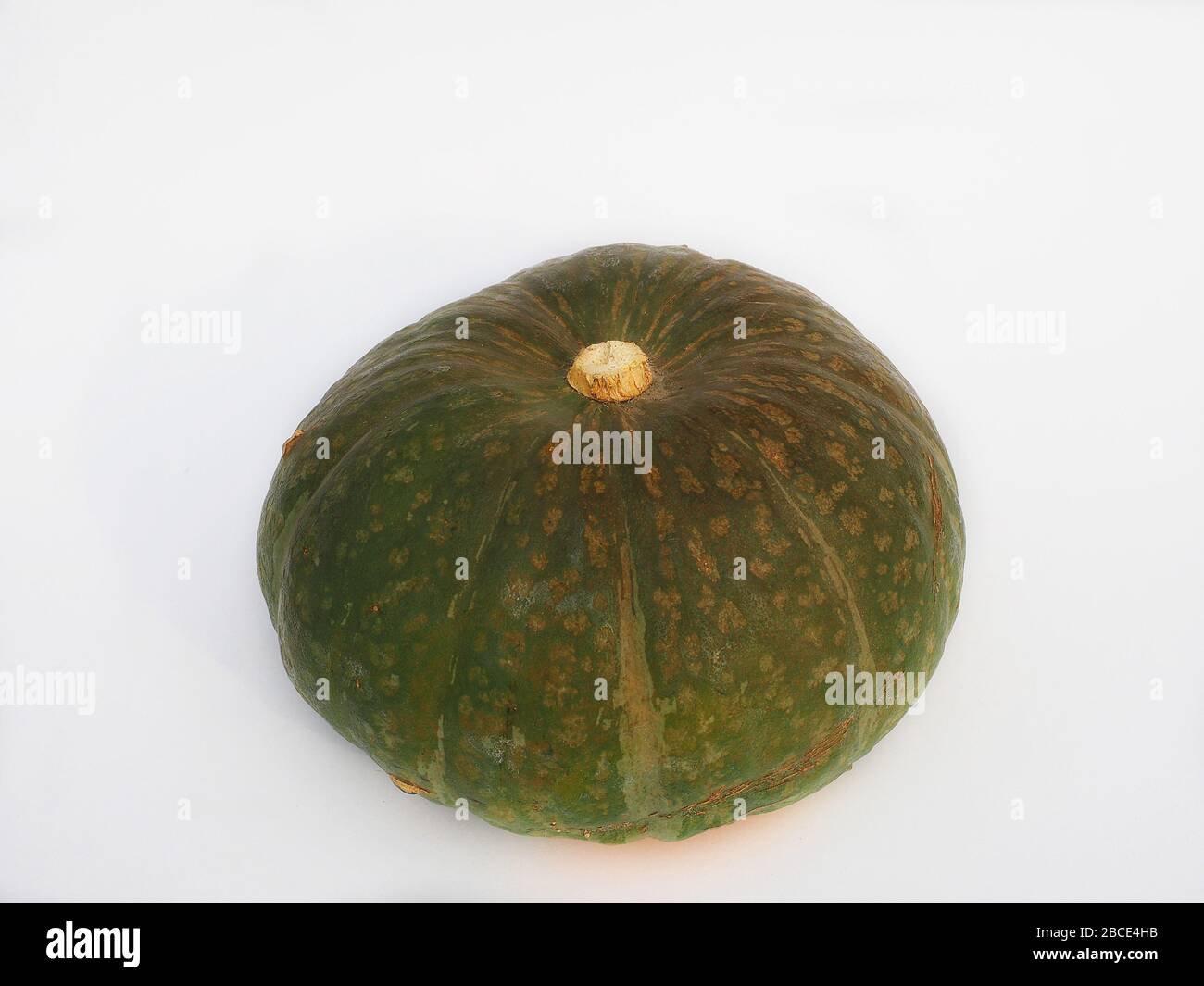 Delica pumkin, Cucurbita Maxima, Italia, Europa Foto Stock