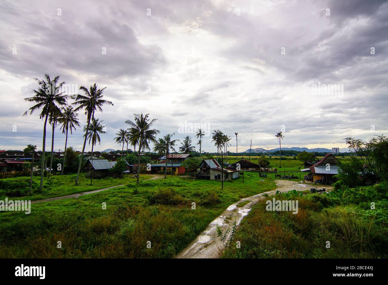 Veduta aerea piccolo sentiero verso Malays villaggio kampung casa a Penang, Malesia in giorno nuvoloso. Foto Stock