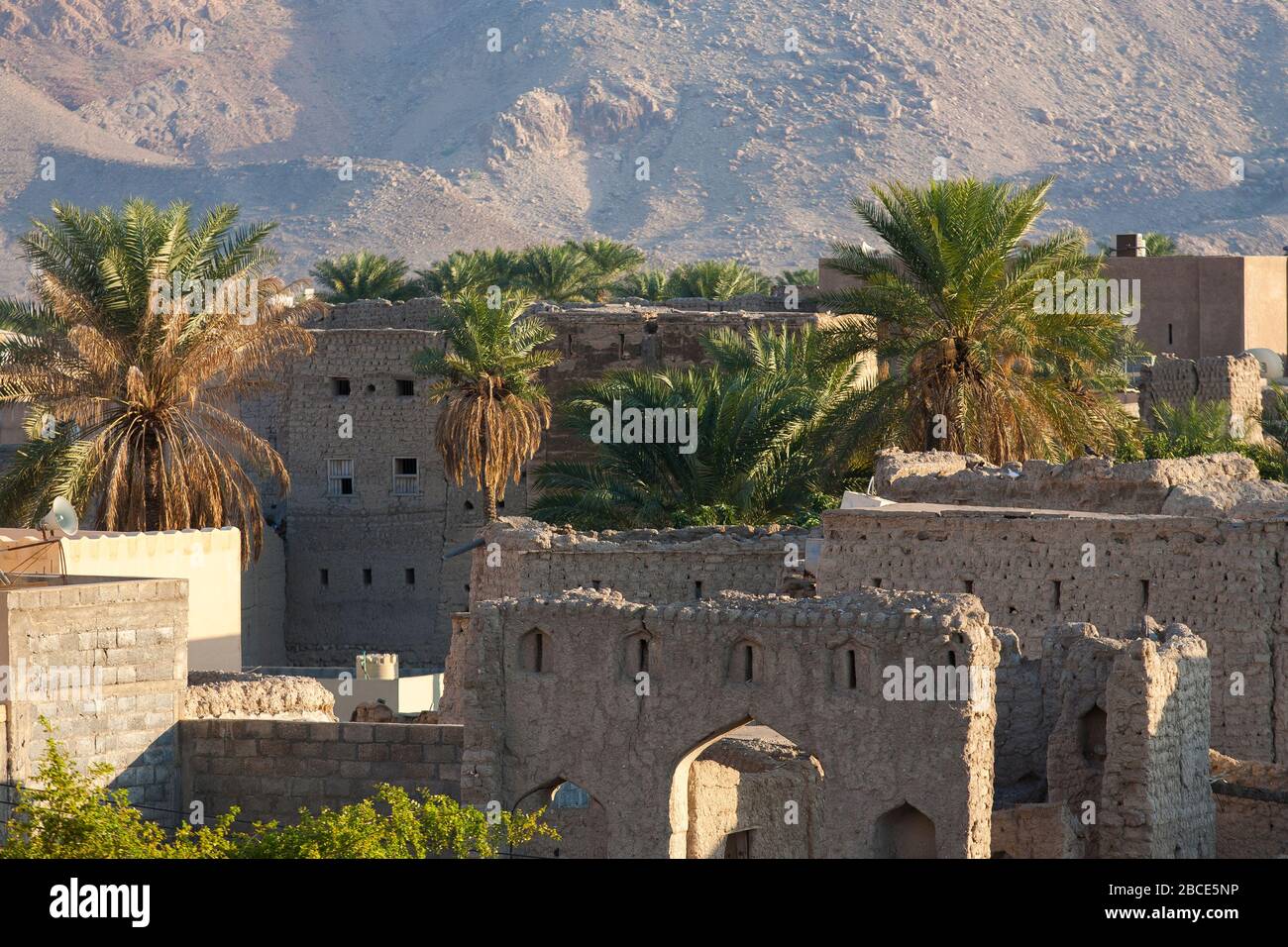Antiche case di fango fanno parte del tessuto vivente dei sobborghi della storica città di Nizwa in Oman Foto Stock
