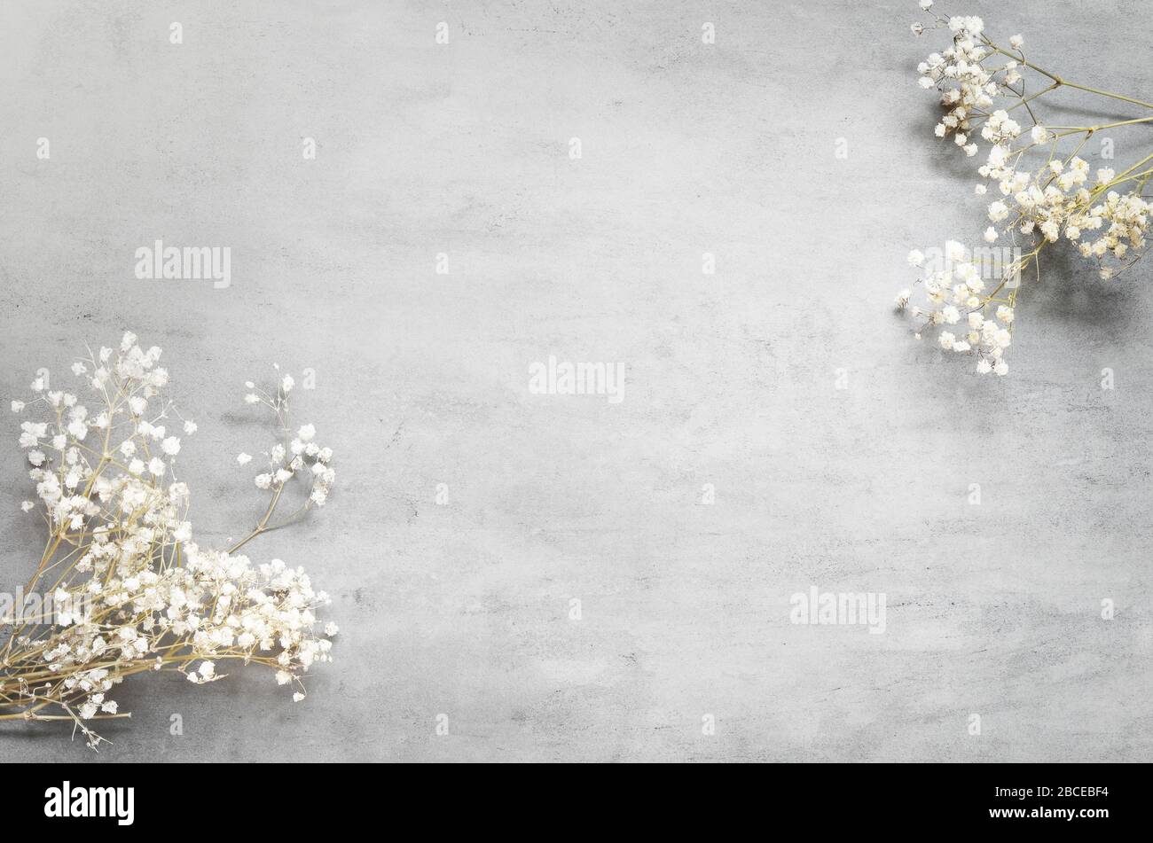 Bouquet di fiori bianchi su sfondo grigio pastello. Disposizione piatta, vista dall'alto. Foto Stock