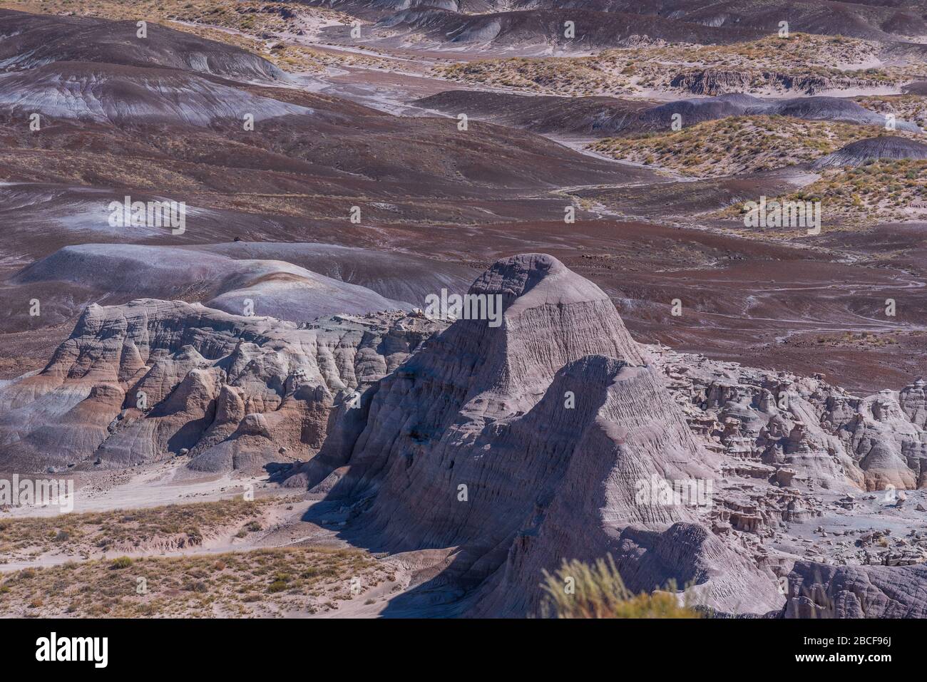 Il paesaggio ad alta angolazione di Badlands viola al Parco Nazionale della Foresta pietrificata in Arizona Foto Stock