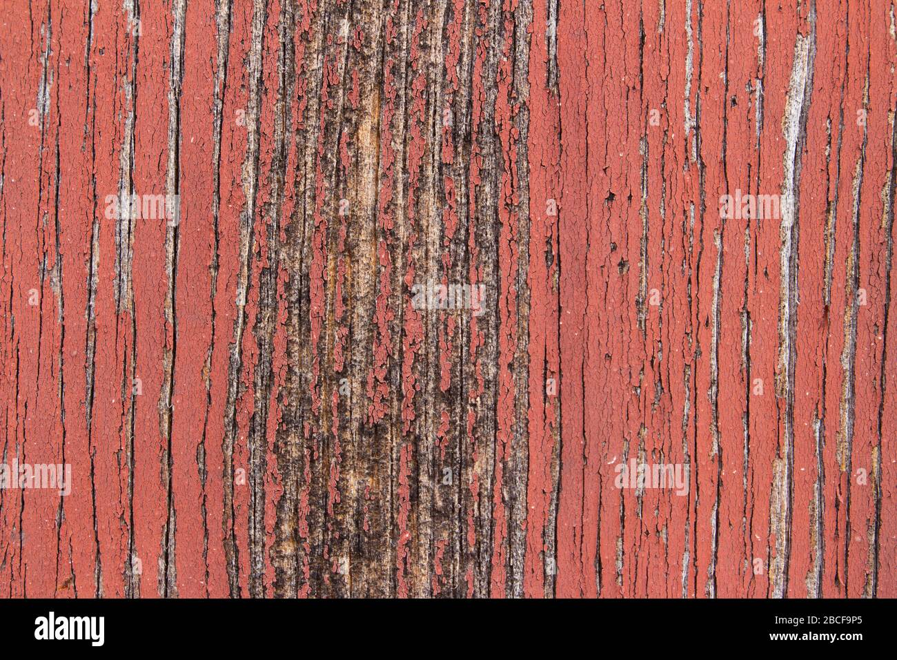 Tessitura di legno vecchio con vernice cracked rossa che si stacca Foto Stock