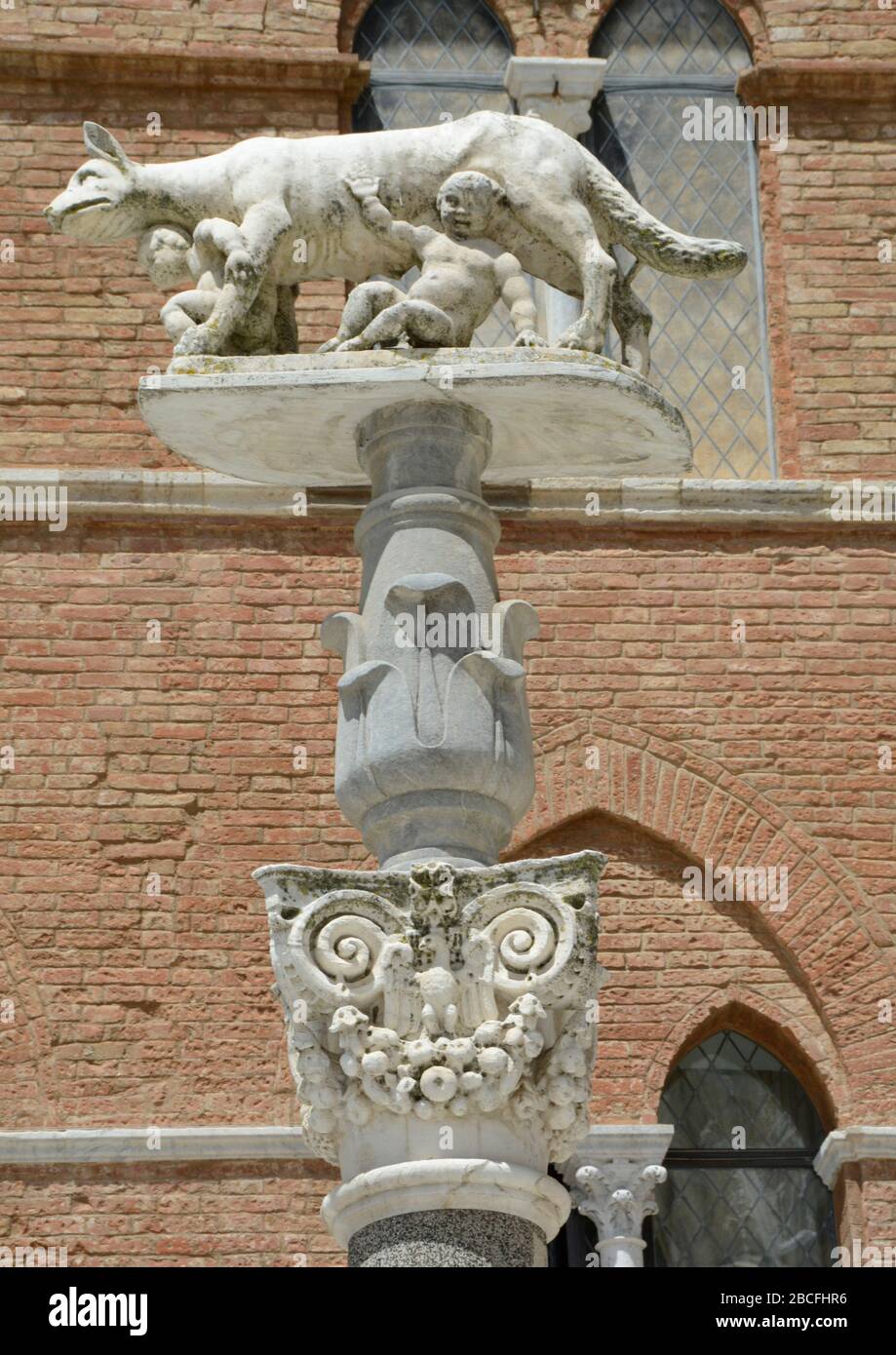 Statua in pietra della lupa con Romolo e Remo vicino alla Cattedrale di Siena, Toscana, Italia Foto Stock