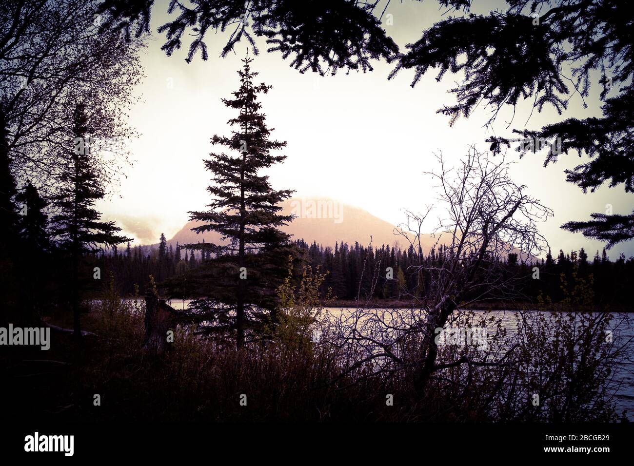 Penisola di Kenai, Alaska, Stati Uniti Foto Stock