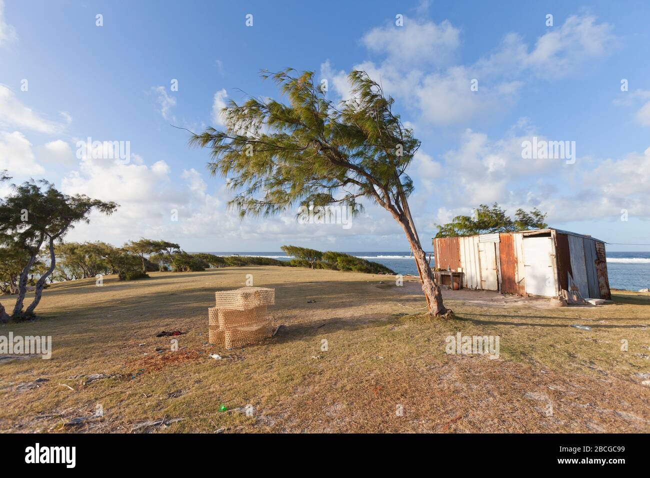 Paesaggio tropicale sulla remota isola di Rodrigue nell'Oceano Indiano, parte della Repubblica di Mauritius Foto Stock