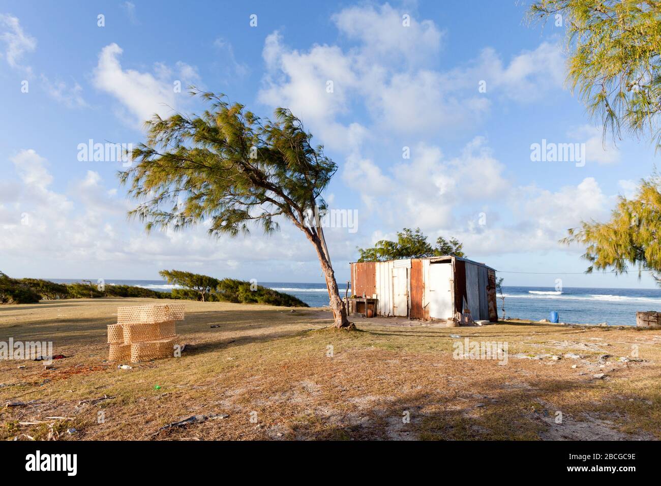 Paesaggio tropicale sulla remota isola di Rodrigue nell'Oceano Indiano, parte della Repubblica di Mauritius Foto Stock