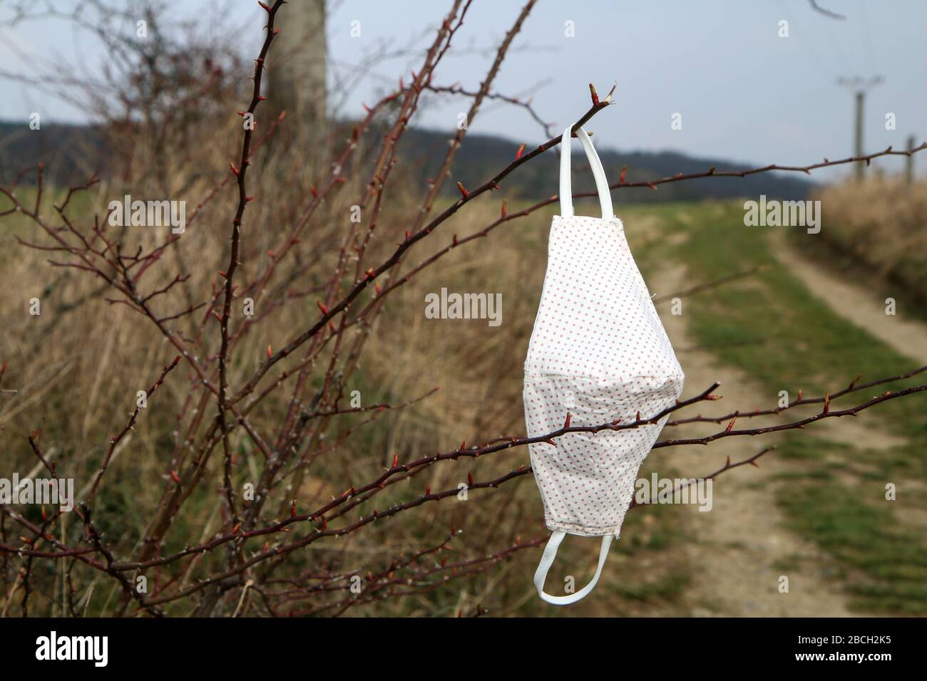 La maschera in tessuto fatta in casa utilizzata per la protezione provvisoria contro i virus è appesa all'esterno sul cespuglio. Rifiuti dopo la pandemia. Foto Stock